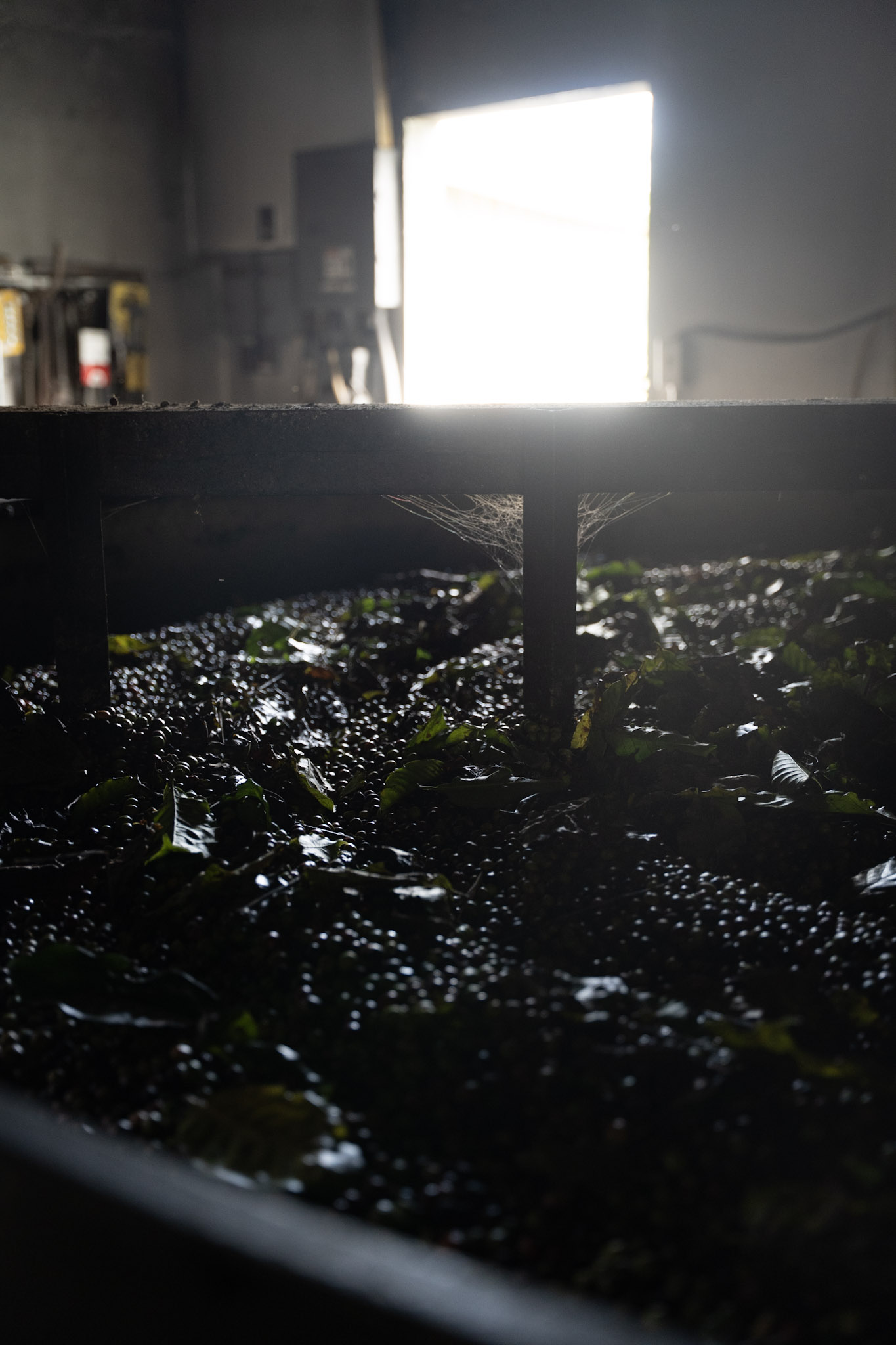 2022-12-29_Cafe_Mis_Abuelos - foto 49