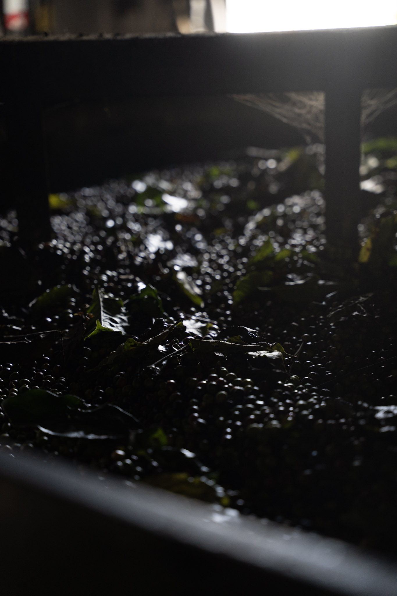 2022-12-29_Cafe_Mis_Abuelos - foto 50