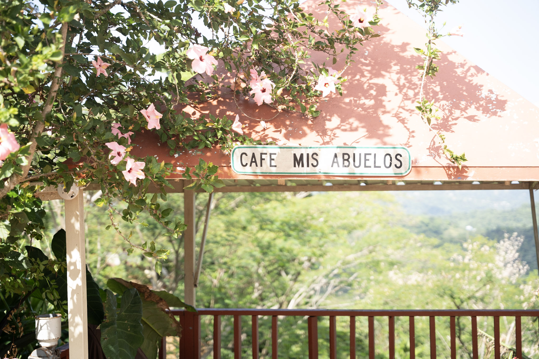 Cafe Mis Abuelos - foto 14