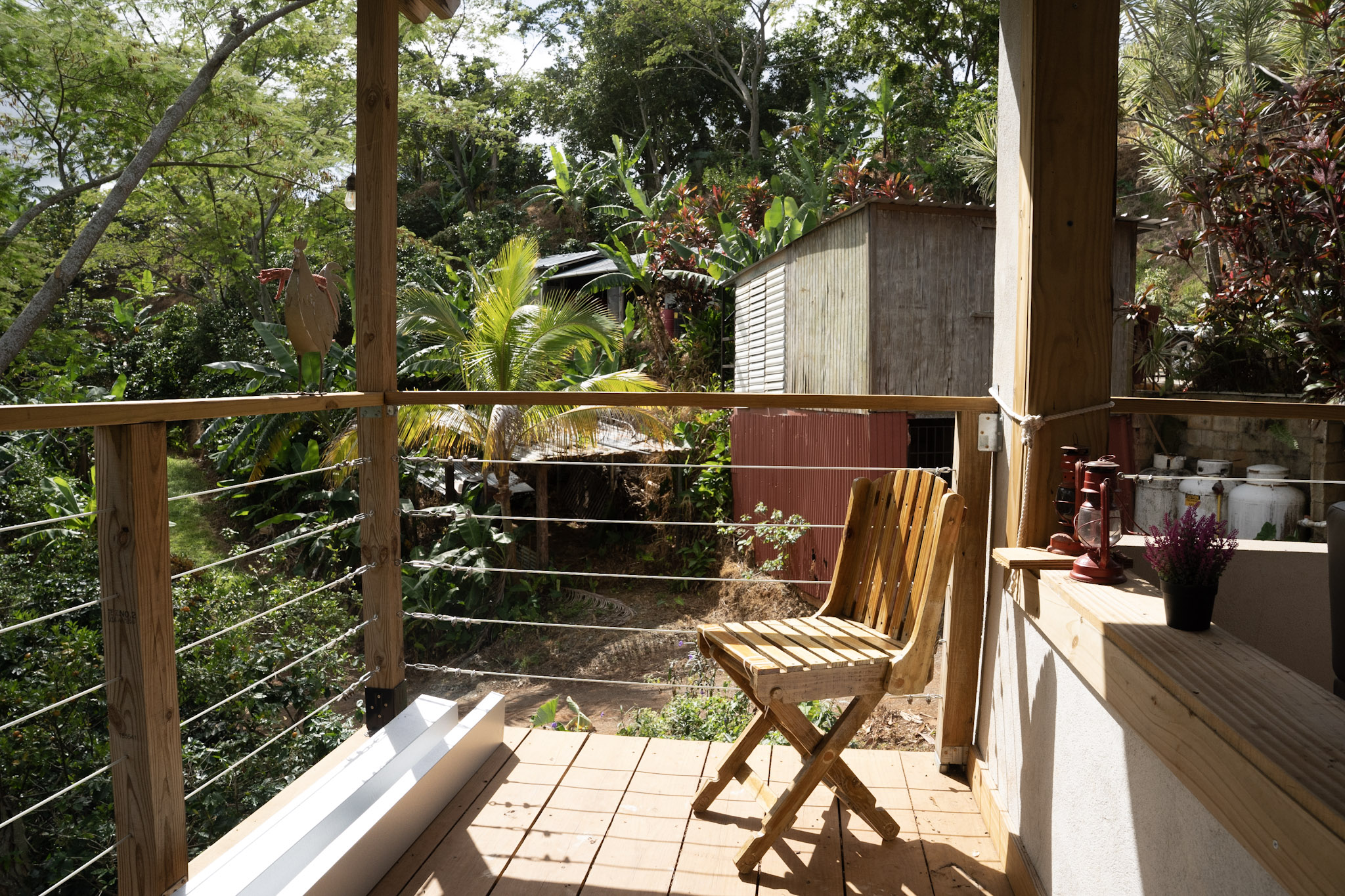 Cafe Mis Abuelos - foto 30