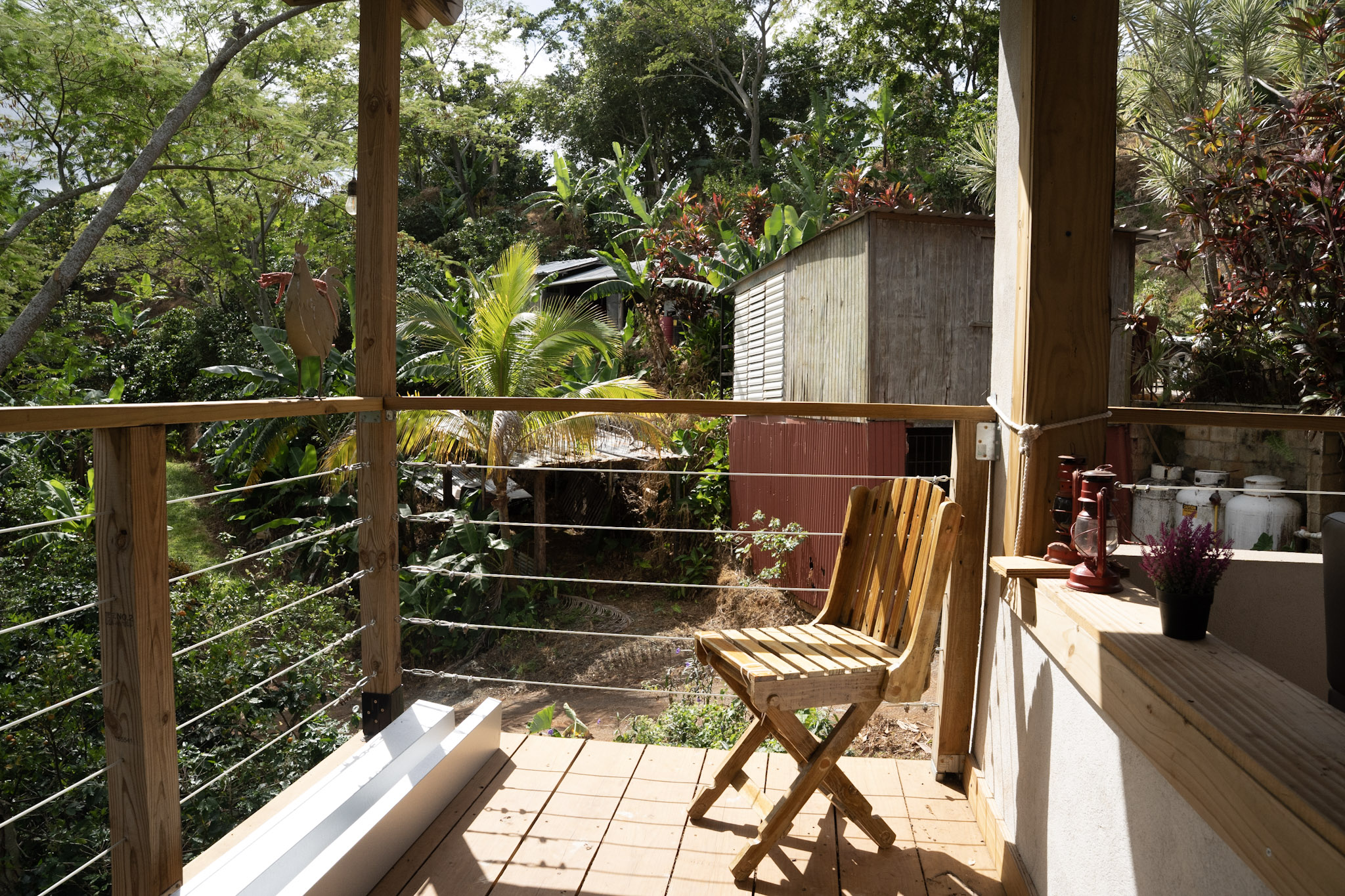 Cafe Mis Abuelos - foto 31