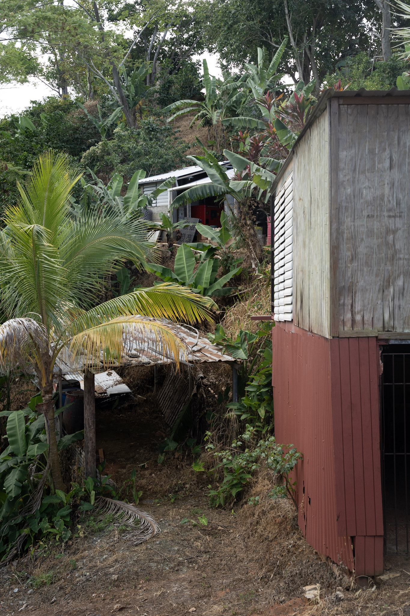 Cafe Mis Abuelos - foto 36