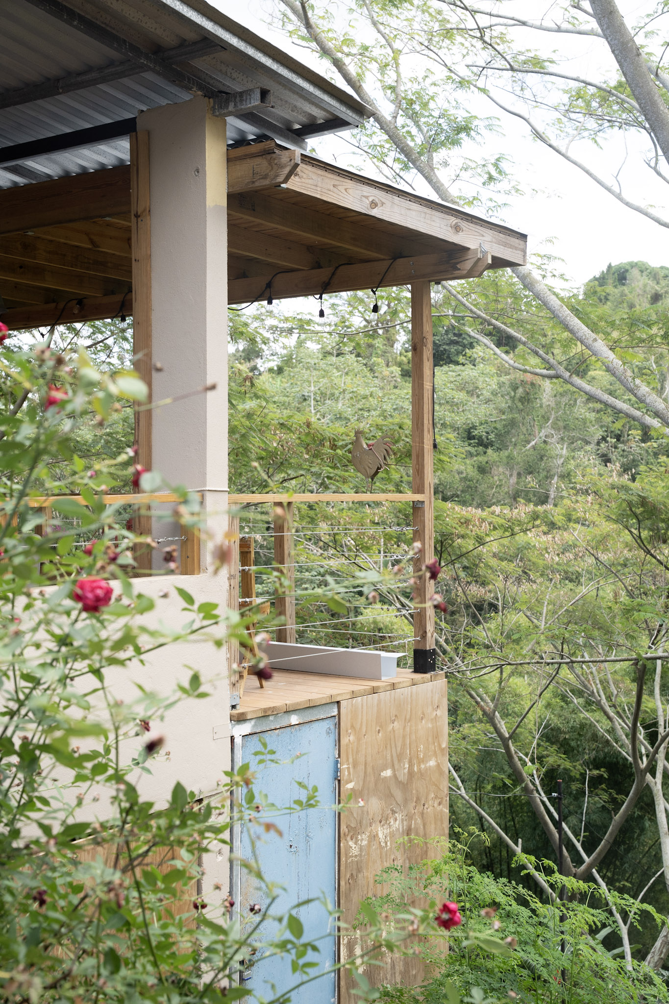 Cafe Mis Abuelos - foto 41