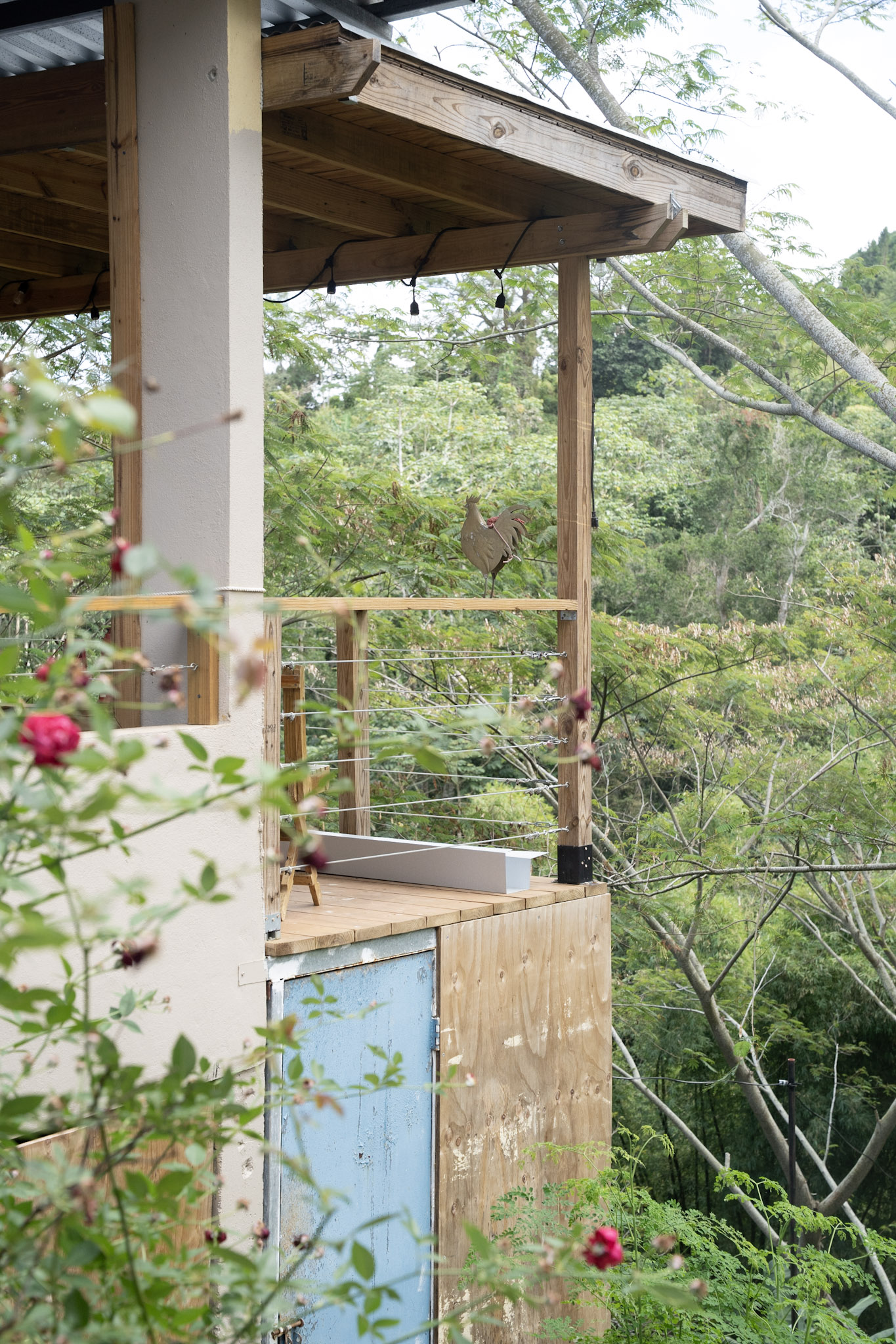 Cafe Mis Abuelos - foto 42