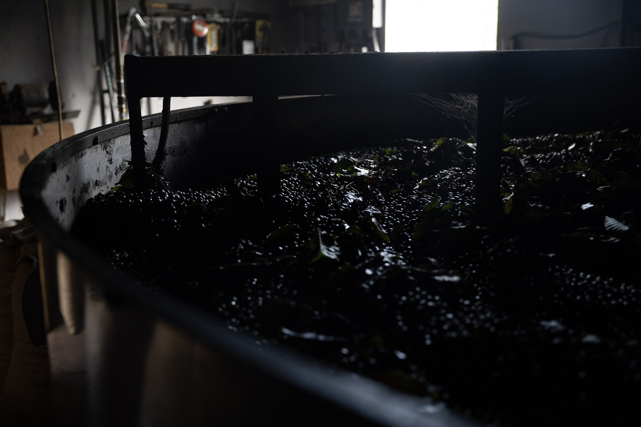 Cafe Mis Abuelos - foto 47