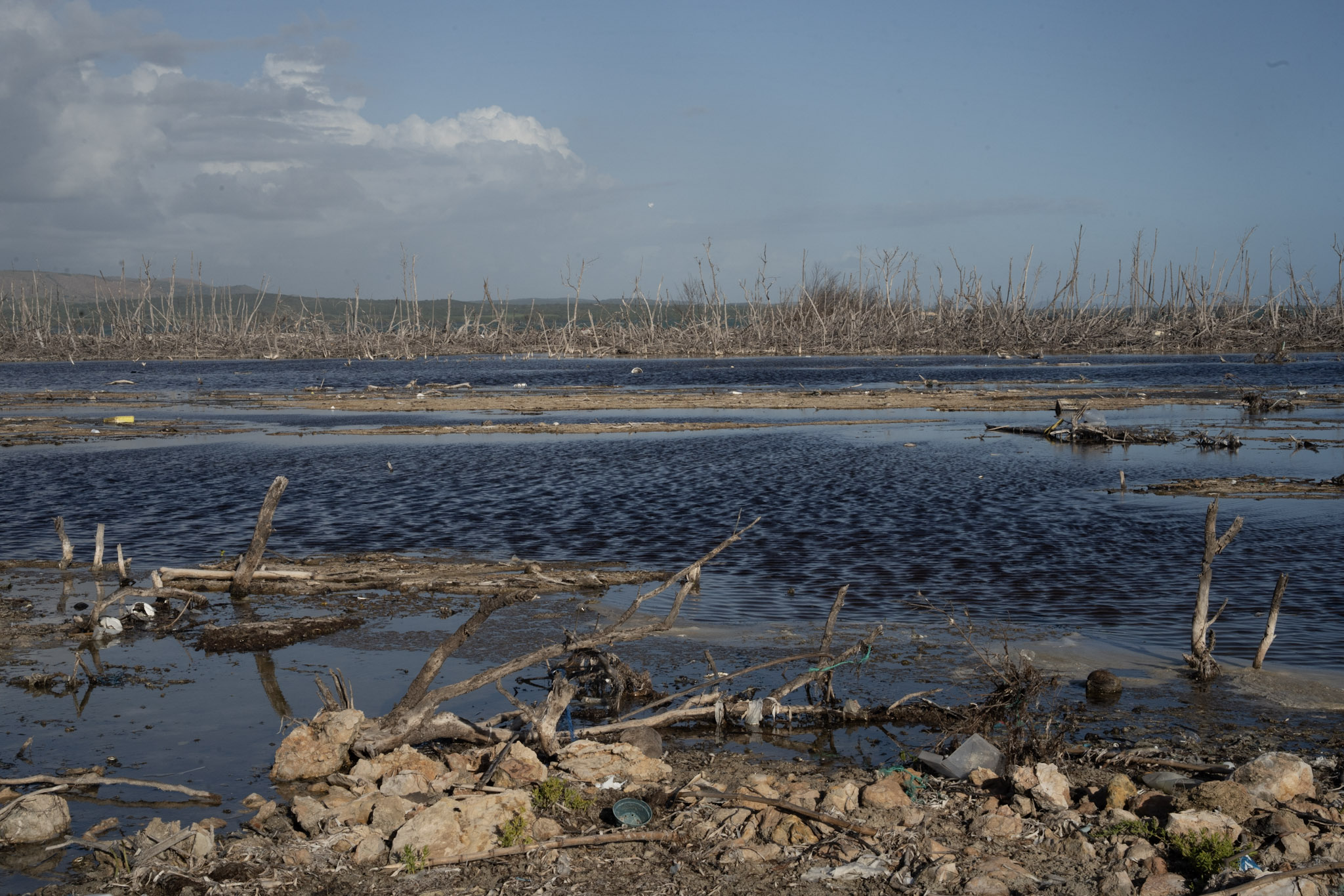 2022-12-29_Faro - foto 2