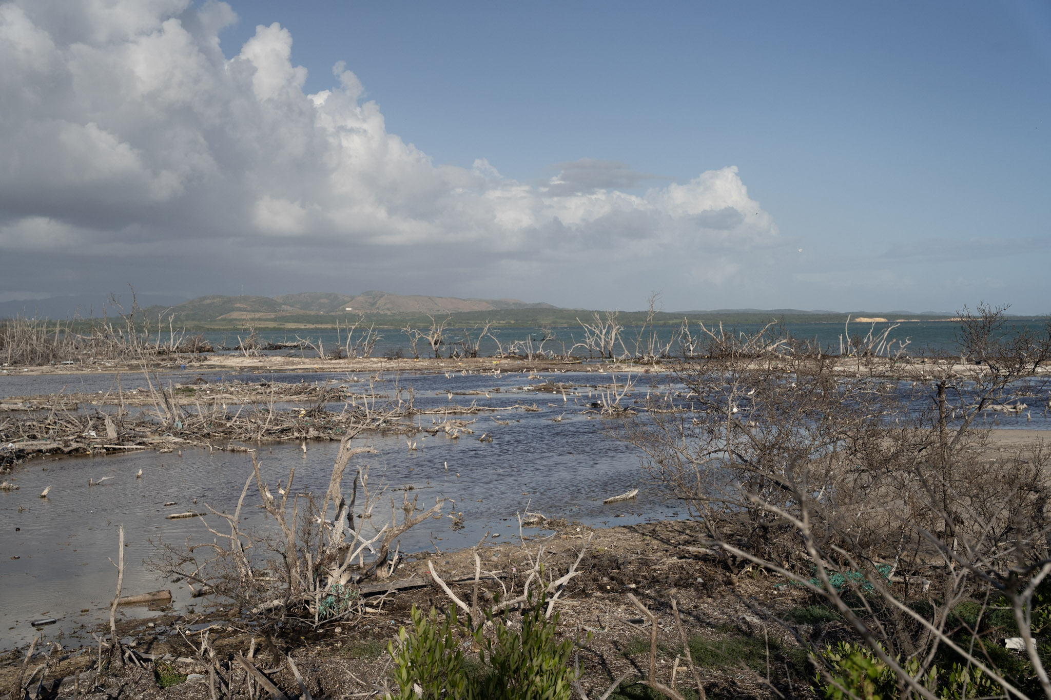 2022-12-29_Faro - foto 10