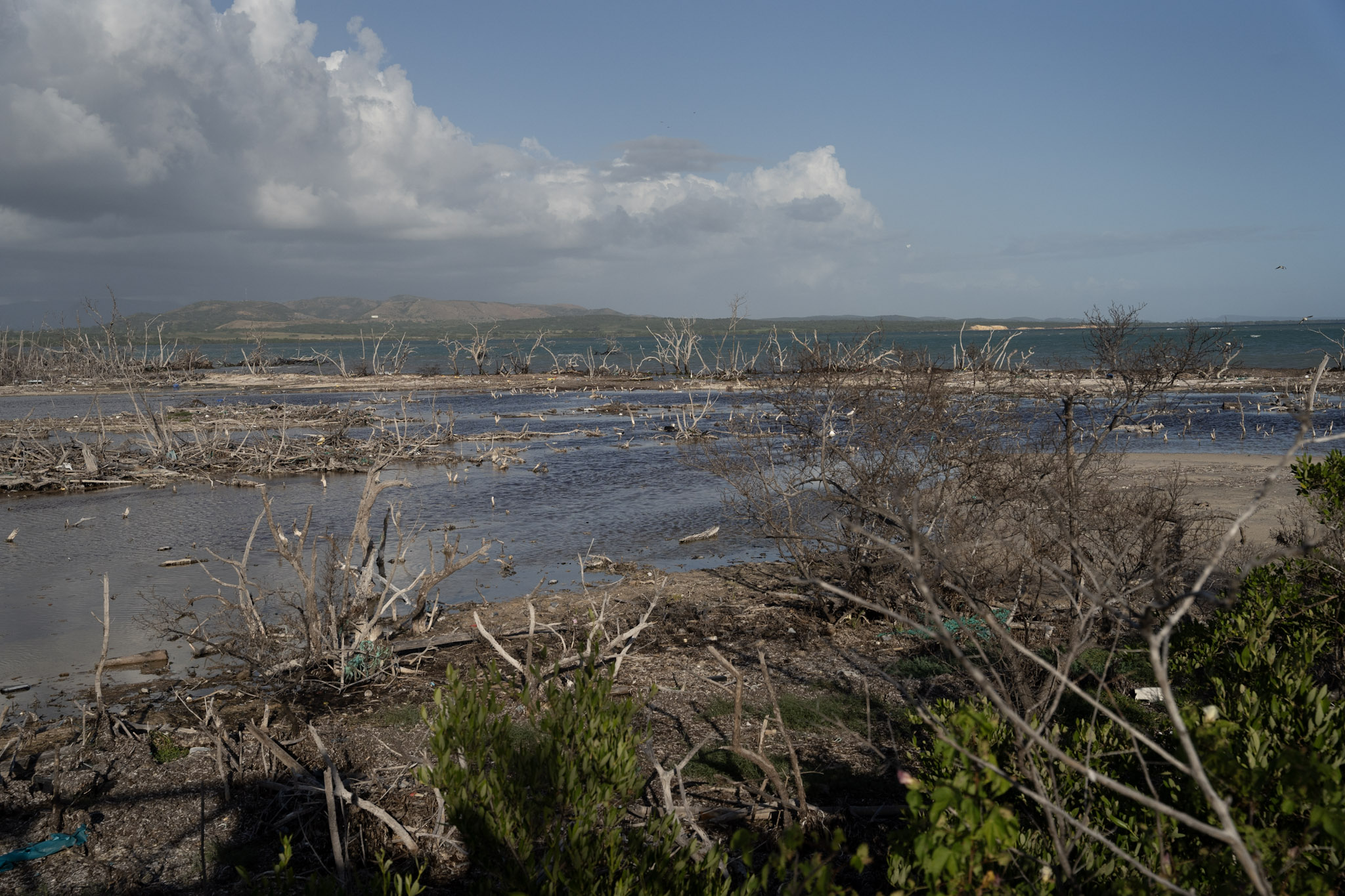 2022-12-29_Faro - foto 11