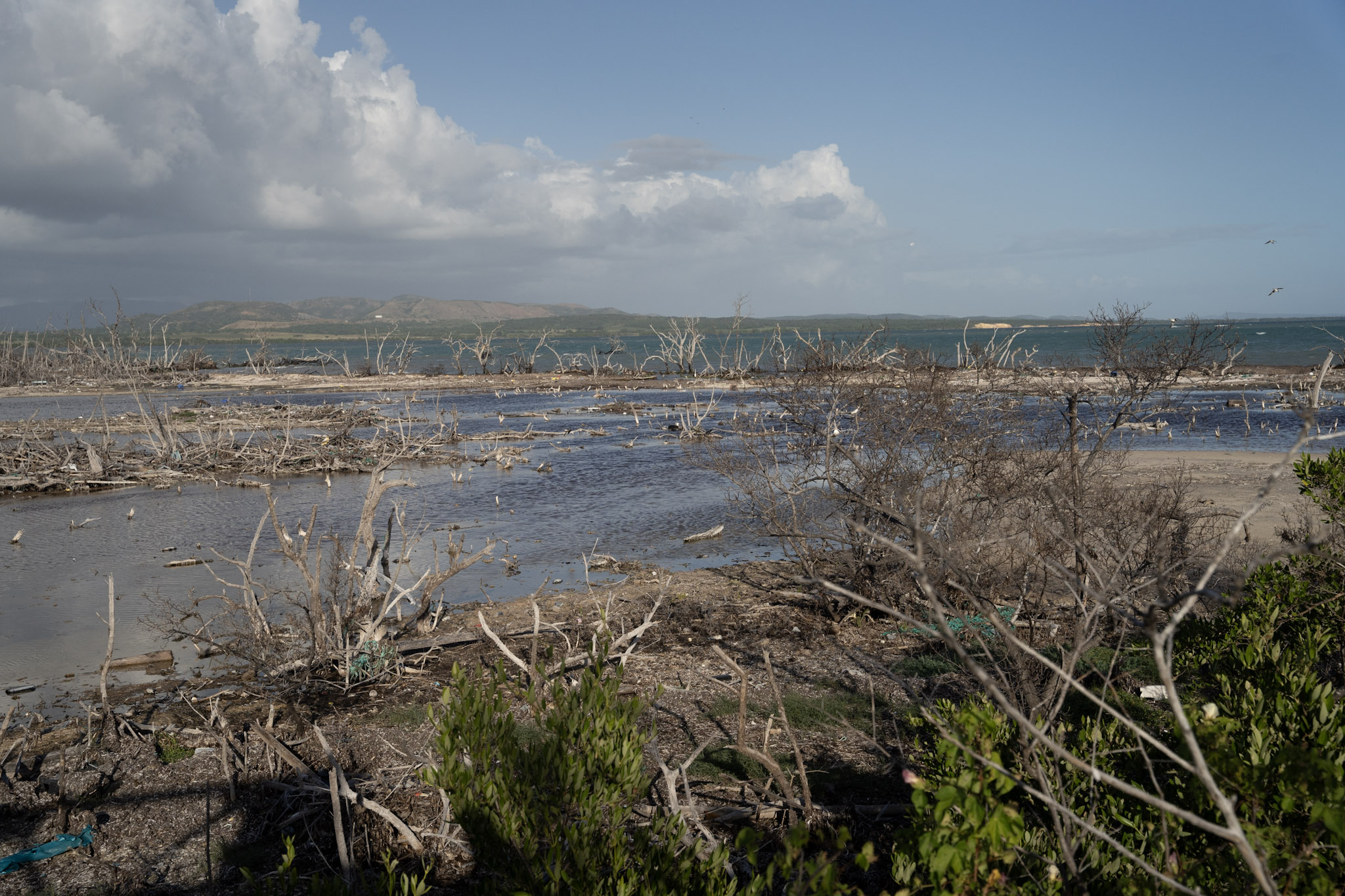 2022-12-29_Faro - foto 12