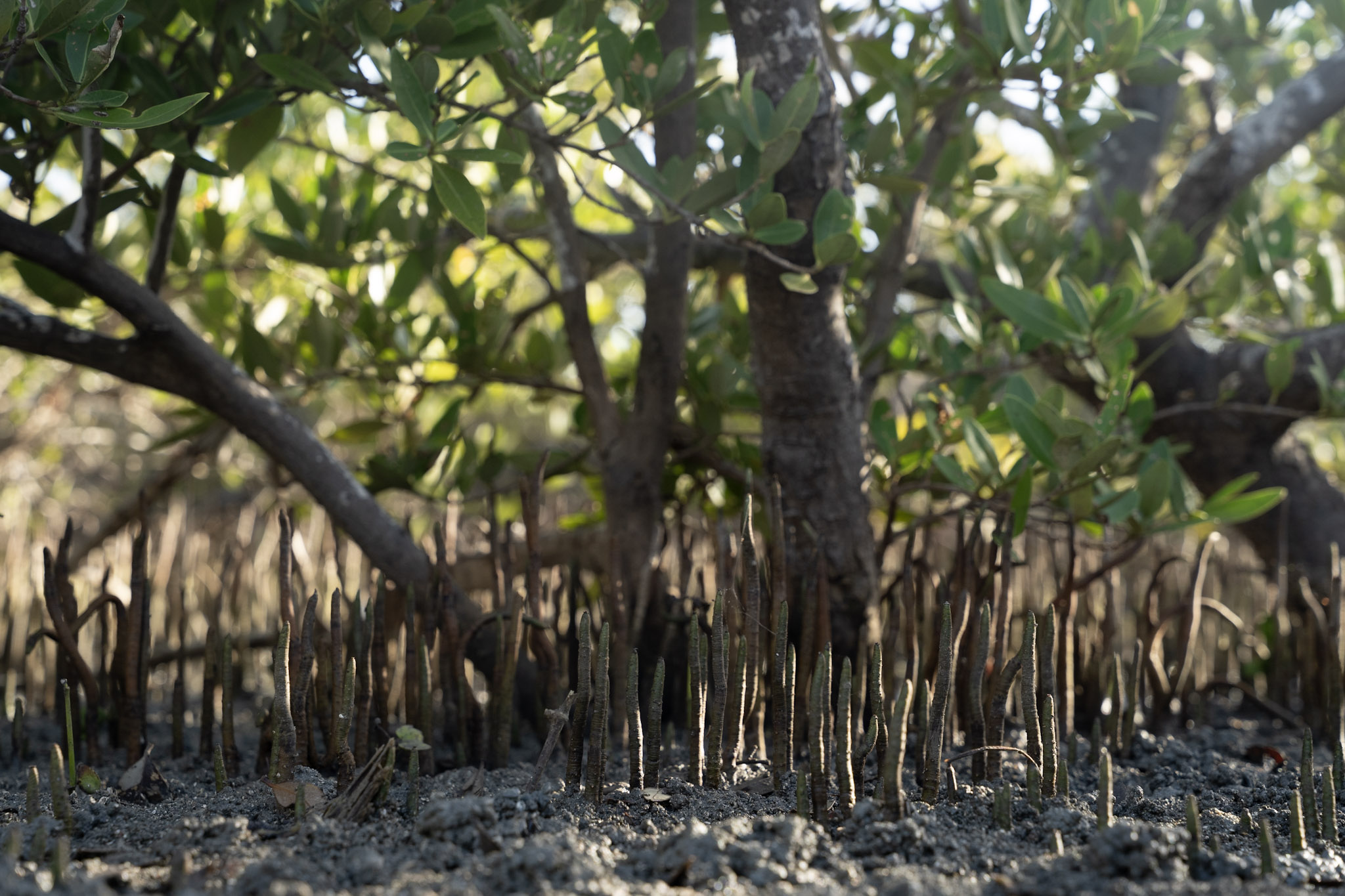 2022-12-29_Faro - foto 13