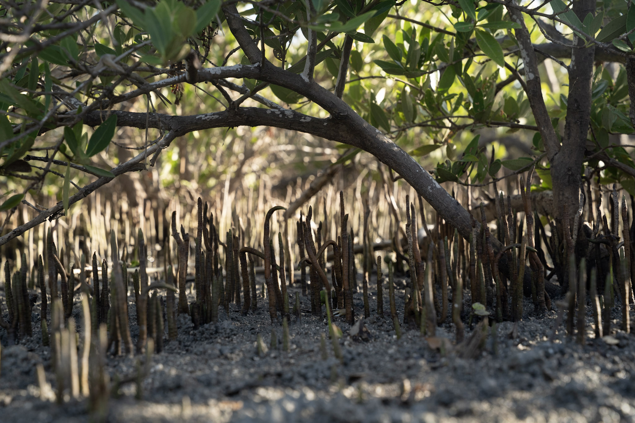 2022-12-29_Faro - foto 15