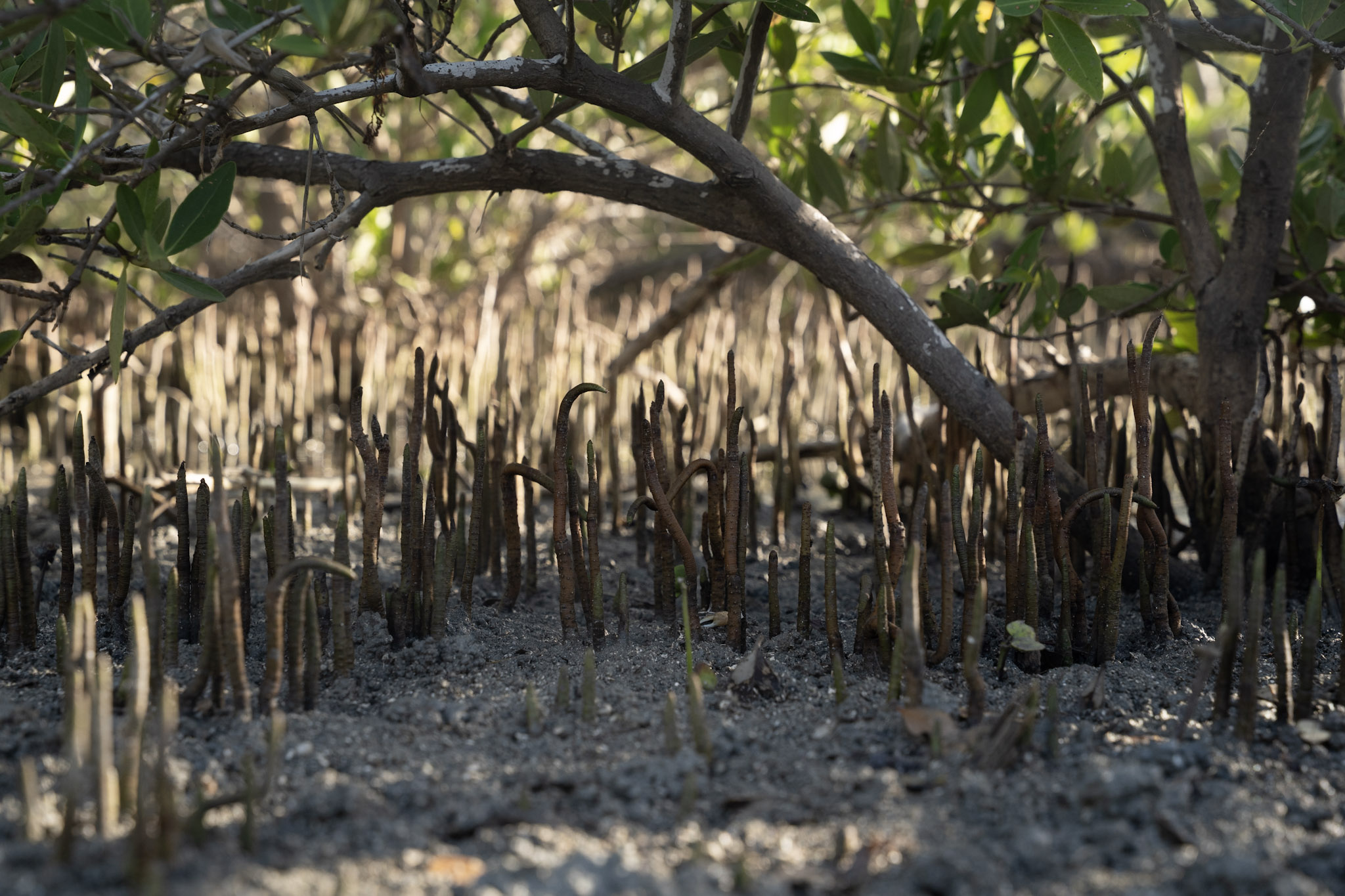 2022-12-29_Faro - foto 16