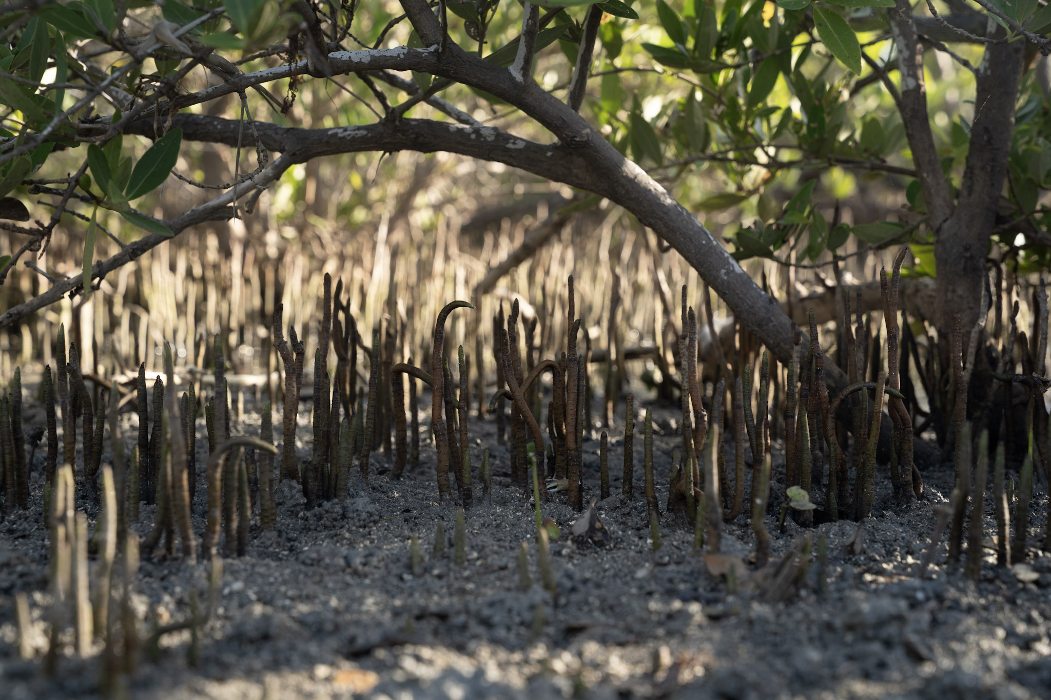 2022-12-29_Faro - foto 17