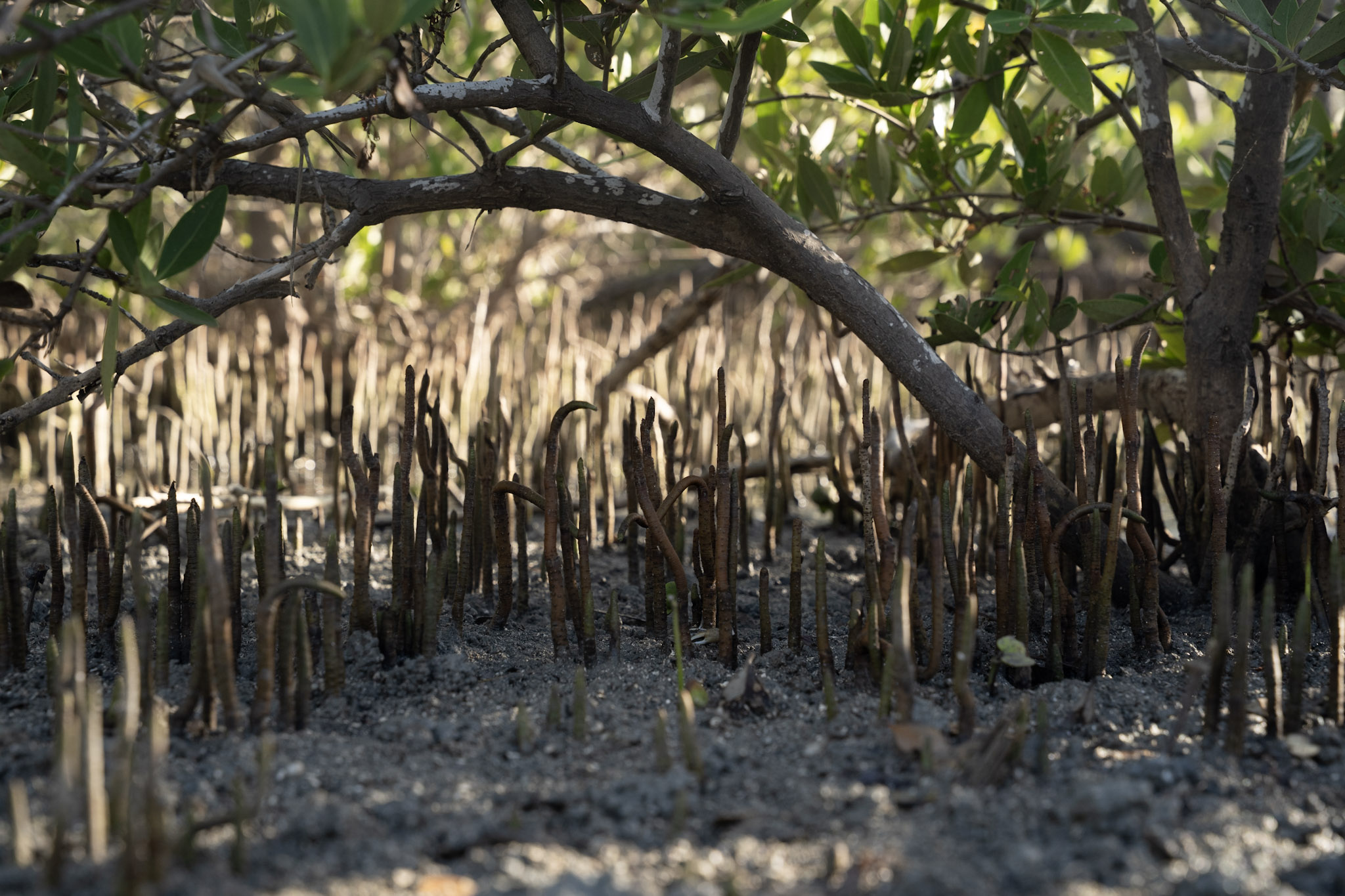 2022-12-29_Faro - foto 18