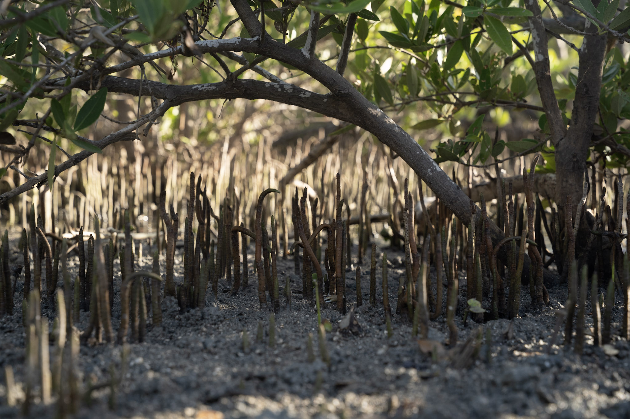 2022-12-29_Faro - foto 19