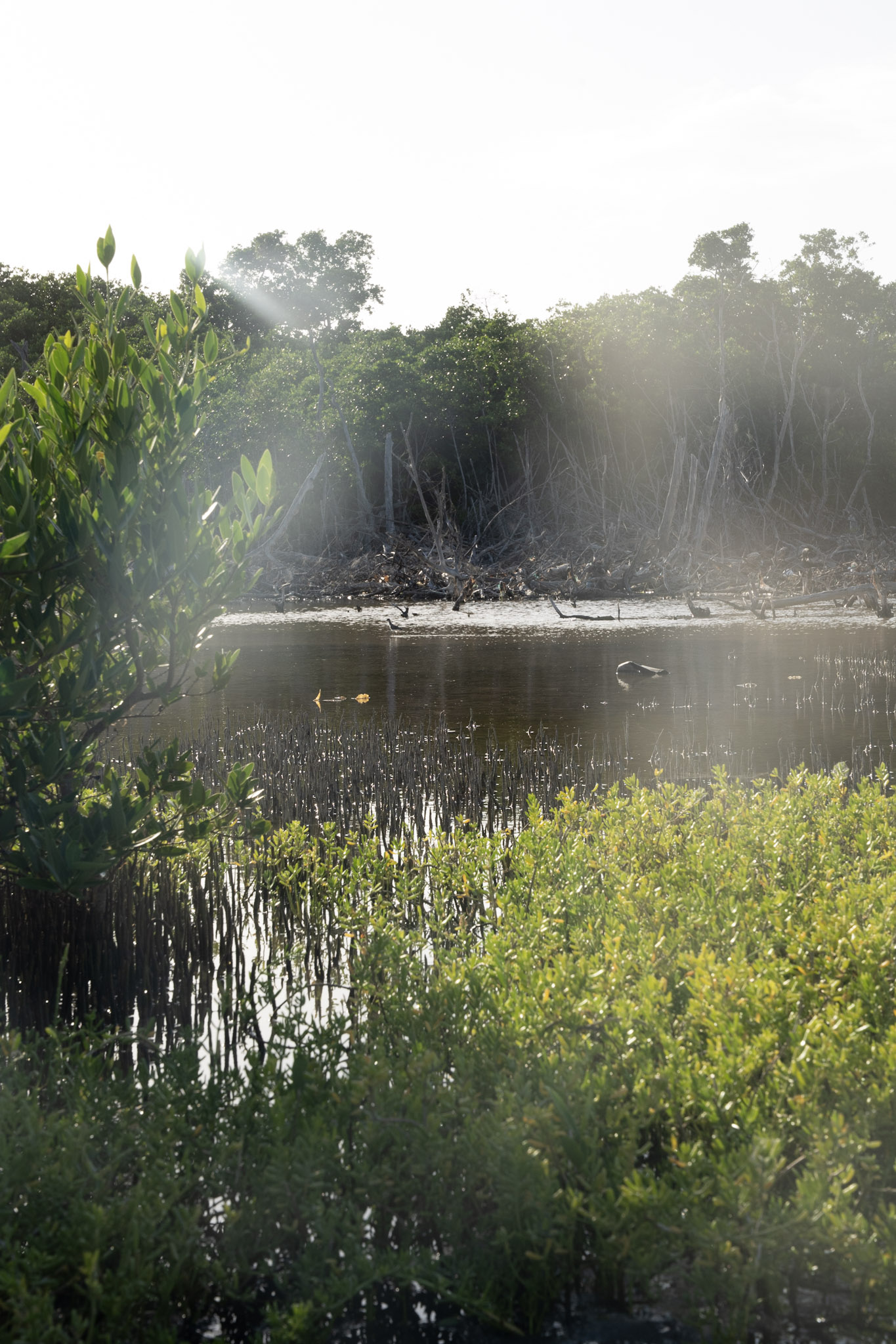 2022-12-29_Faro - foto 20