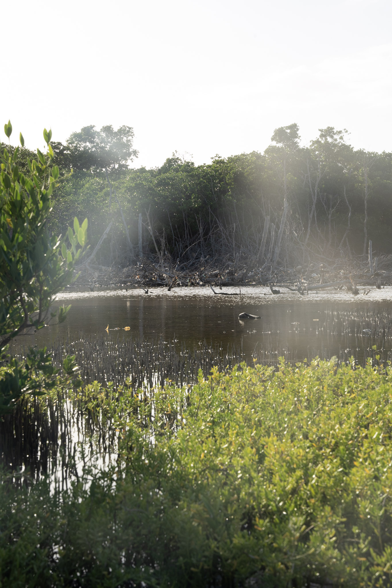 2022-12-29_Faro - foto 21