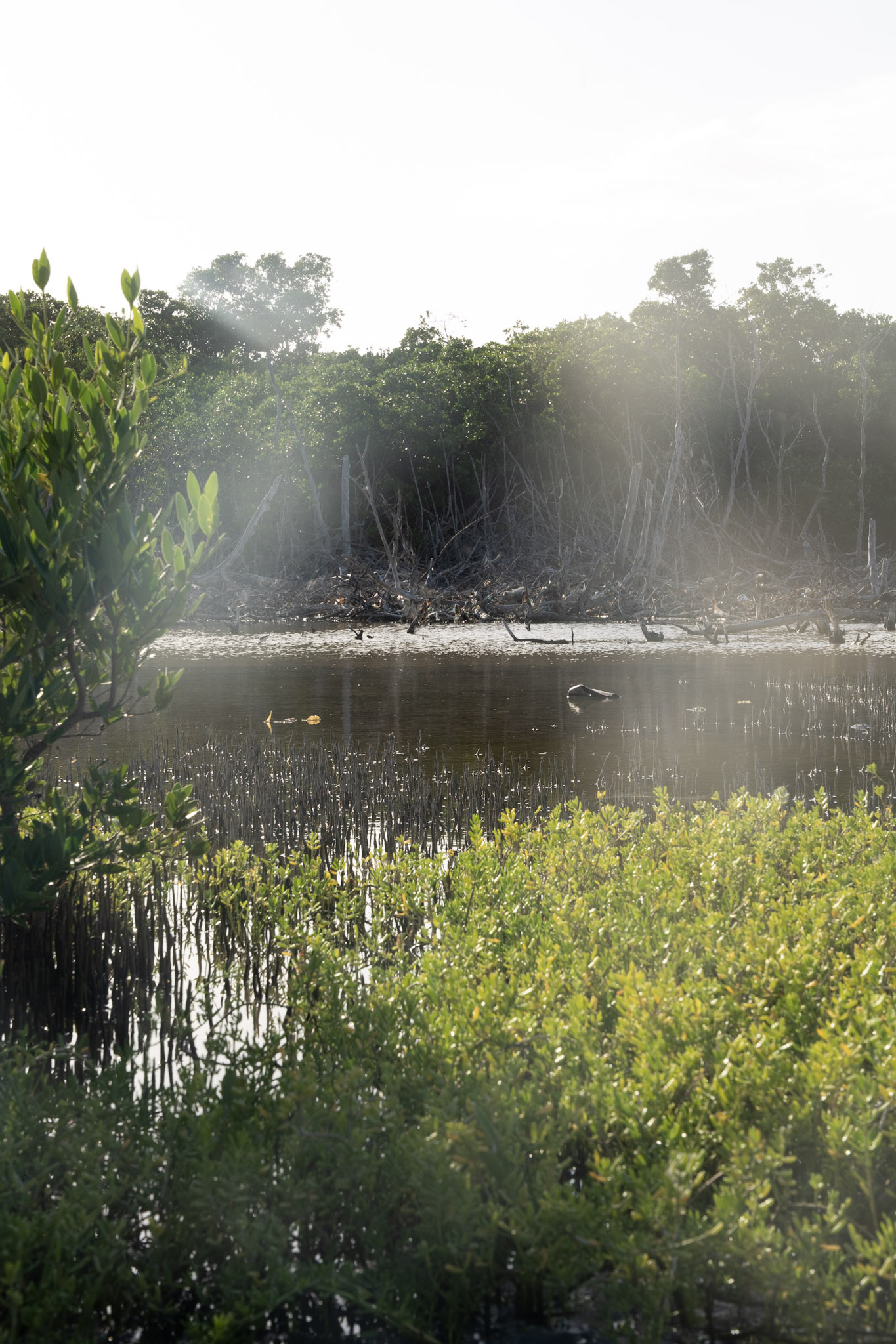 2022-12-29_Faro - foto 22