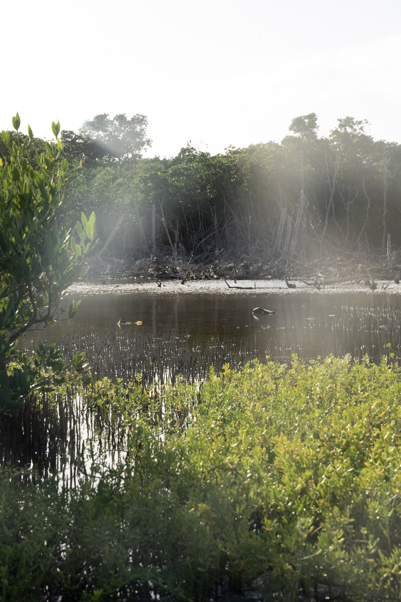 2022-12-29_Faro - foto 23