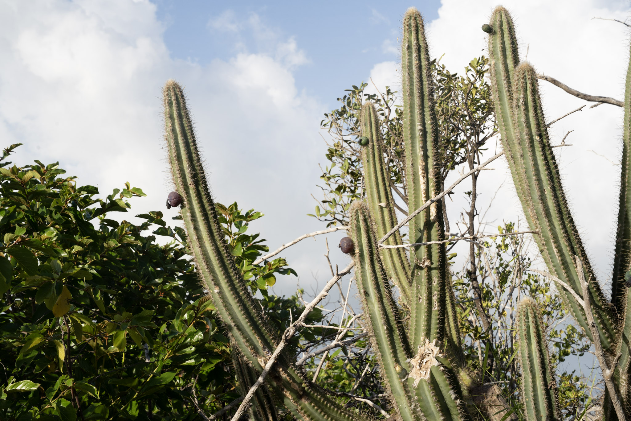 2022-12-29_Faro - foto 32