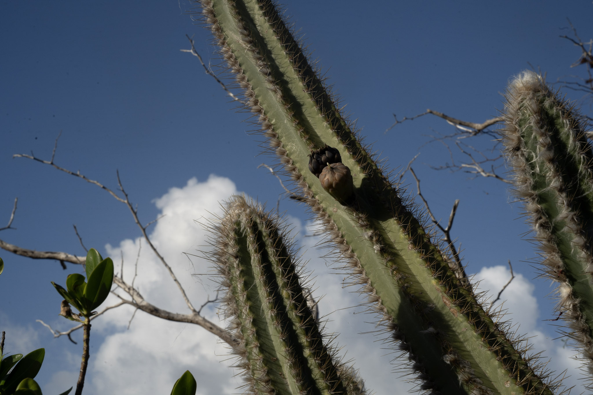 2022-12-29_Faro - foto 33