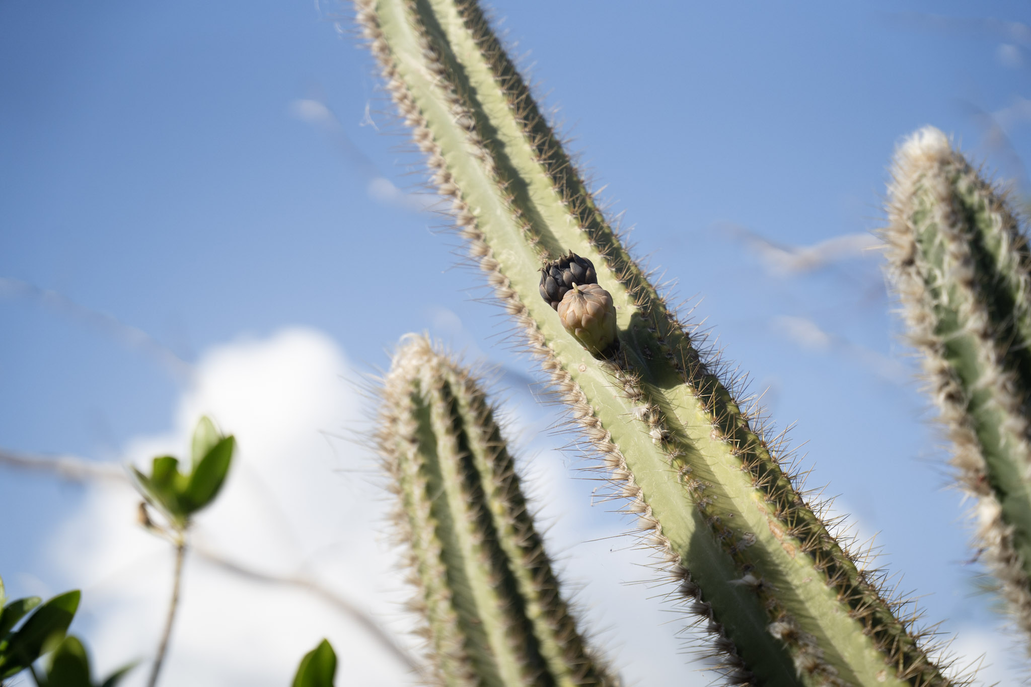 2022-12-29_Faro - foto 36