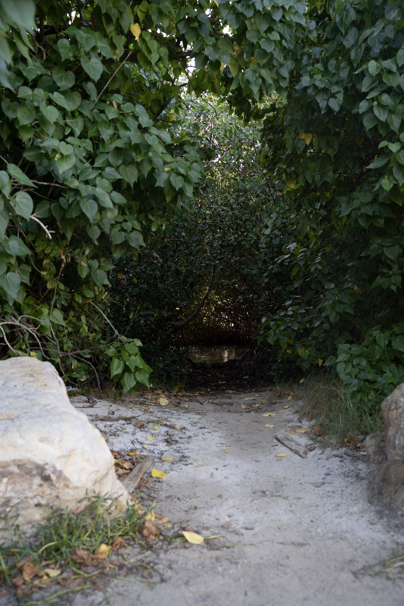 2022-12-29_Faro - foto 45