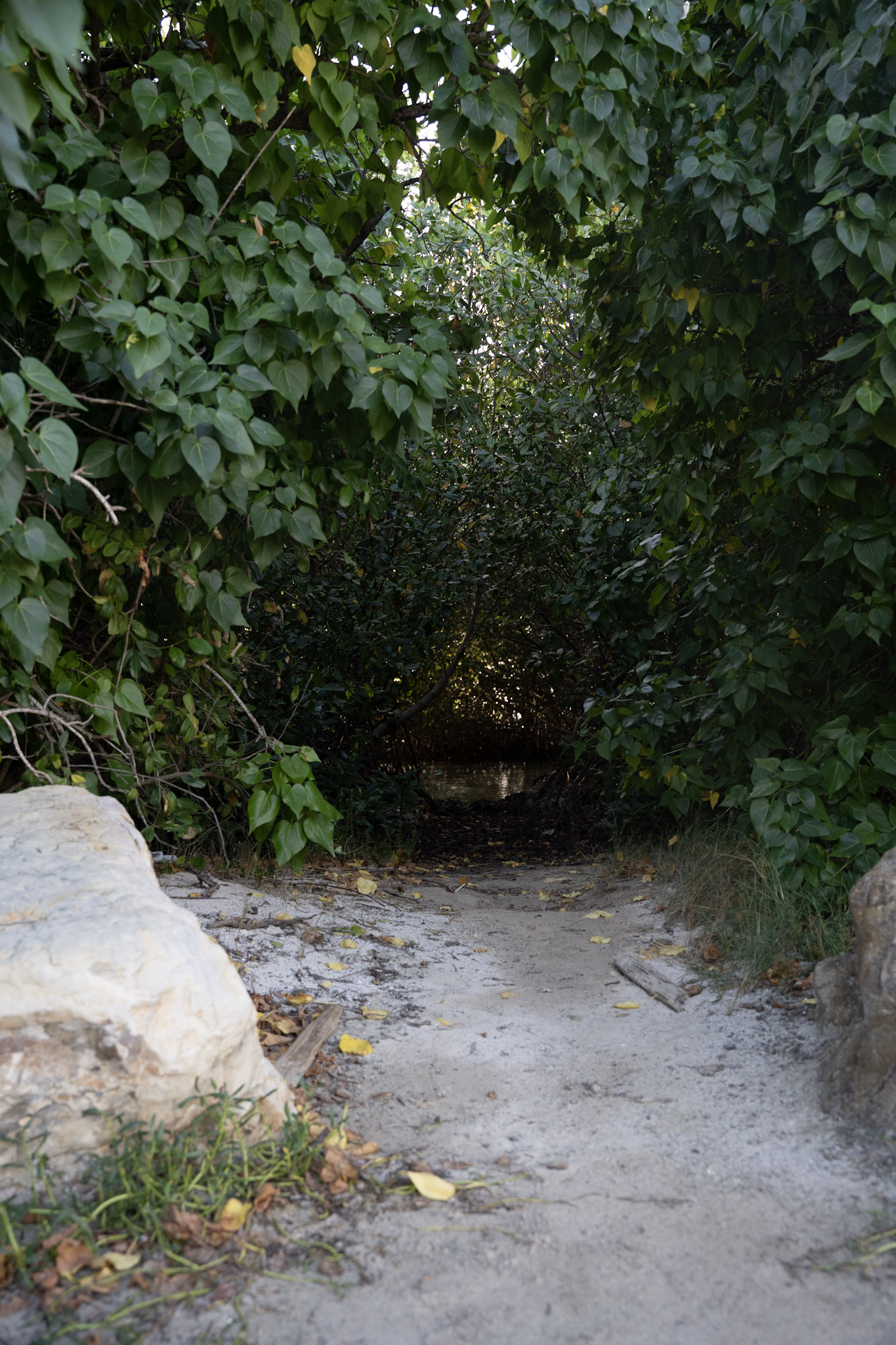 2022-12-29_Faro - foto 46