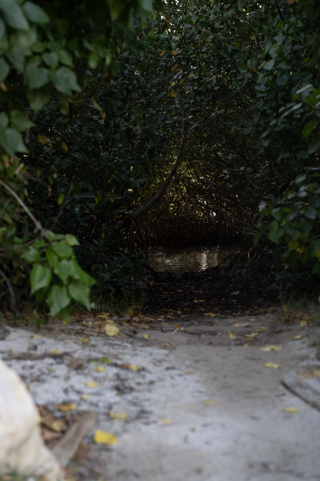 2022-12-29_Faro - foto 47