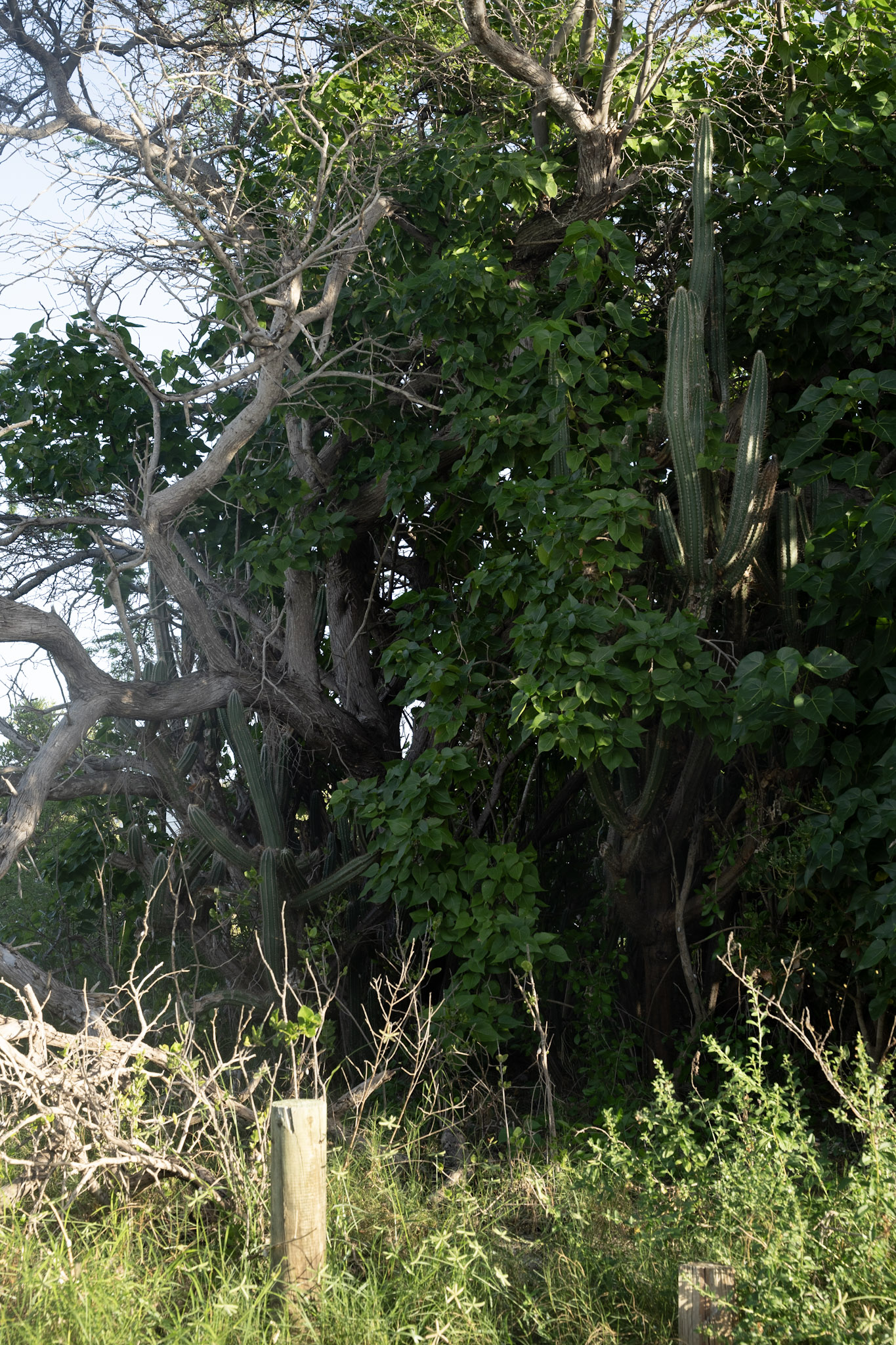 2022-12-29_Faro - foto 49