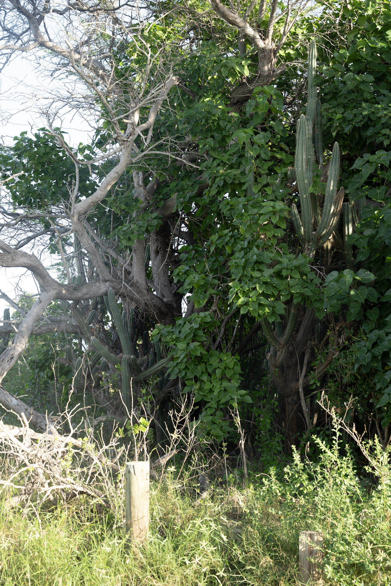 2022-12-29_Faro - foto 50