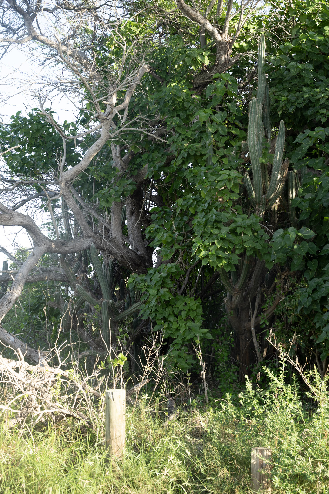 2022-12-29_Faro - foto 51