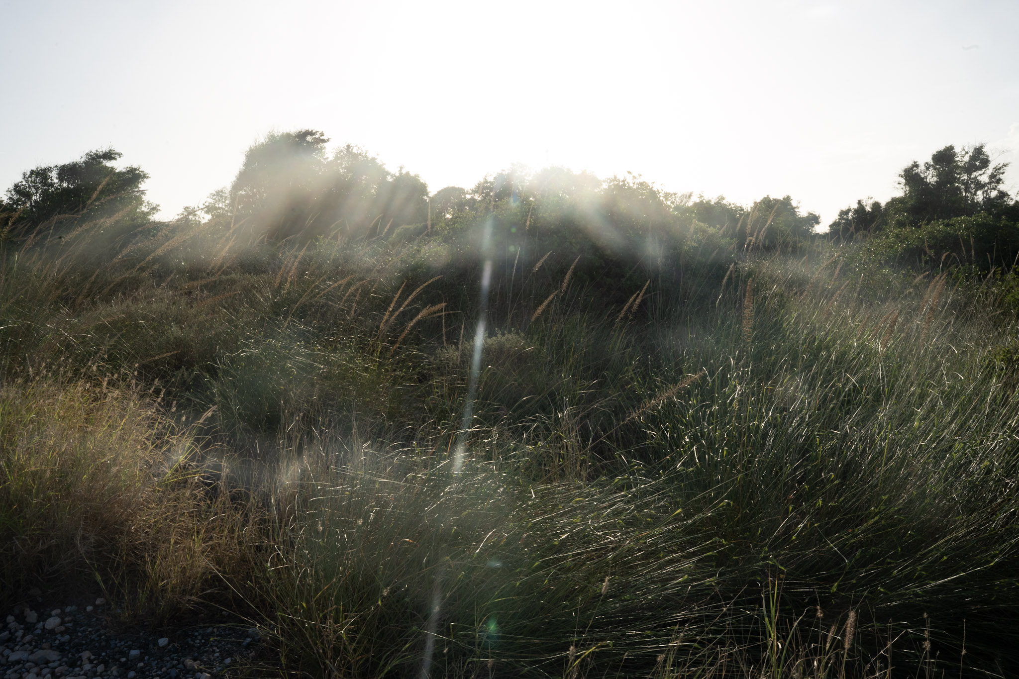 2022-12-29_Faro - foto 59