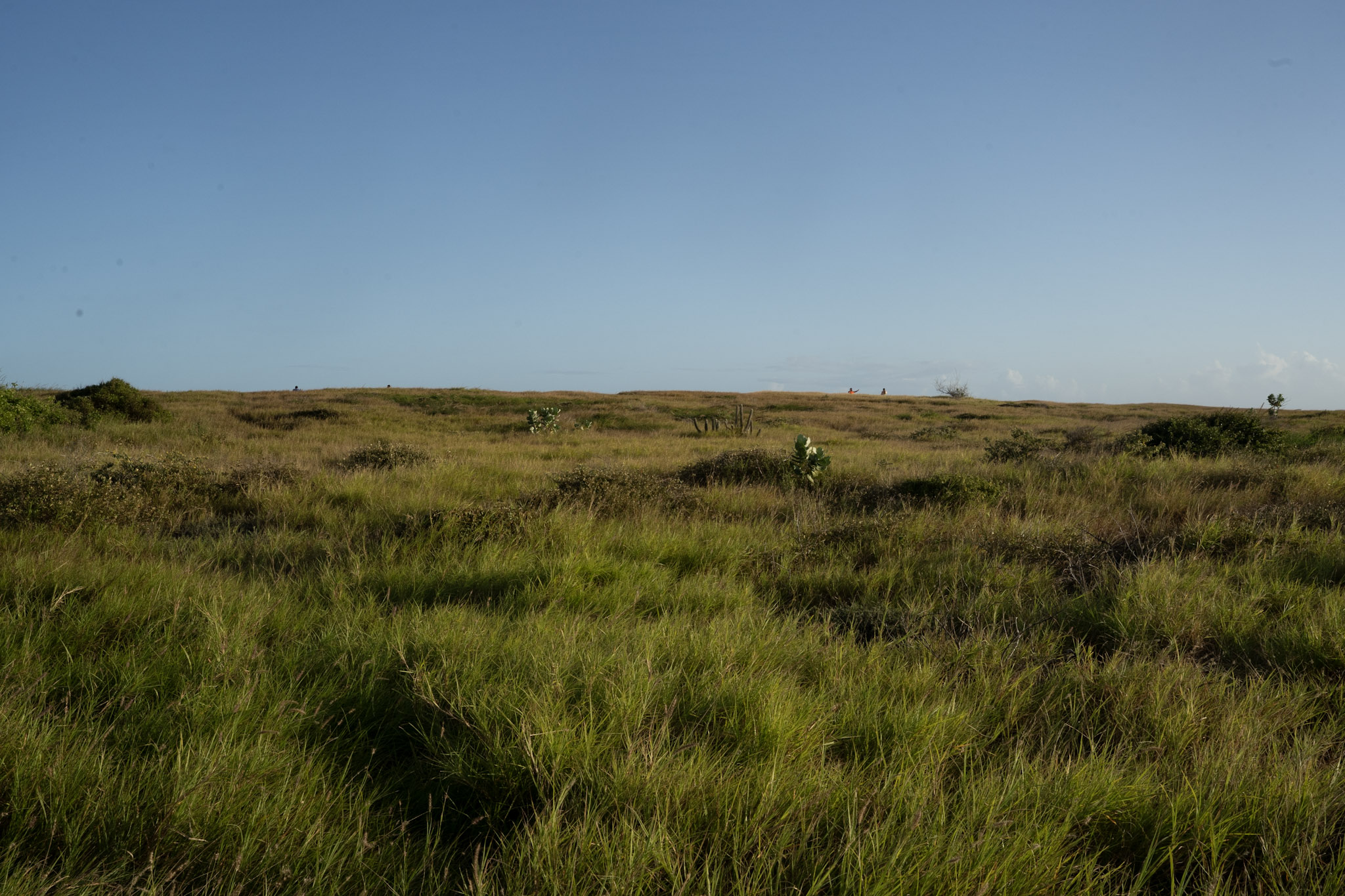 2022-12-29_Faro - foto 83