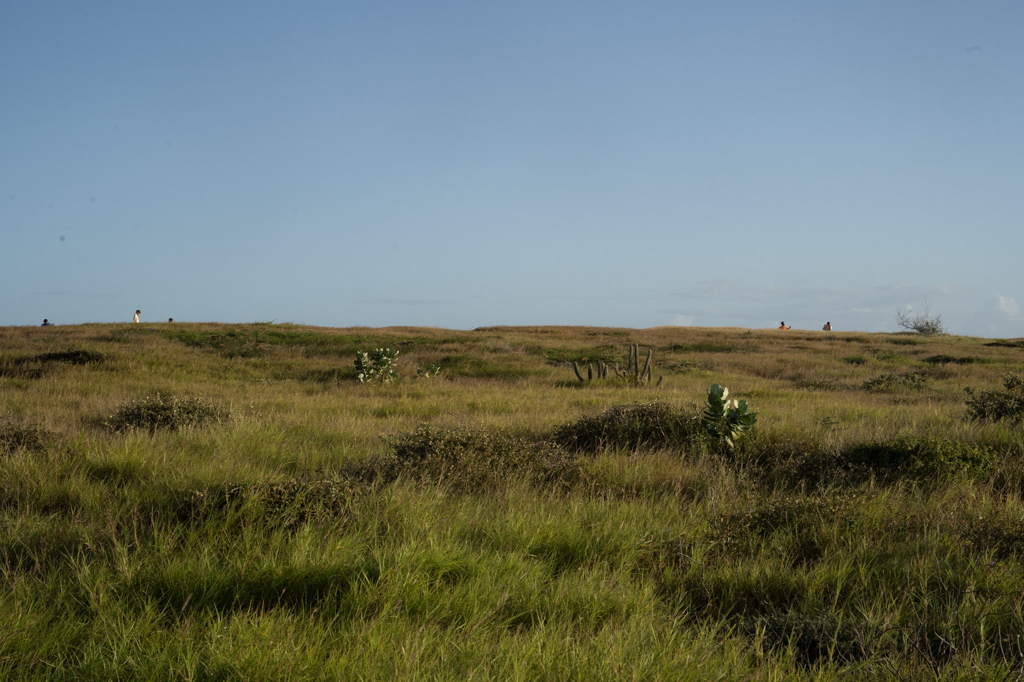 2022-12-29_Faro - foto 84