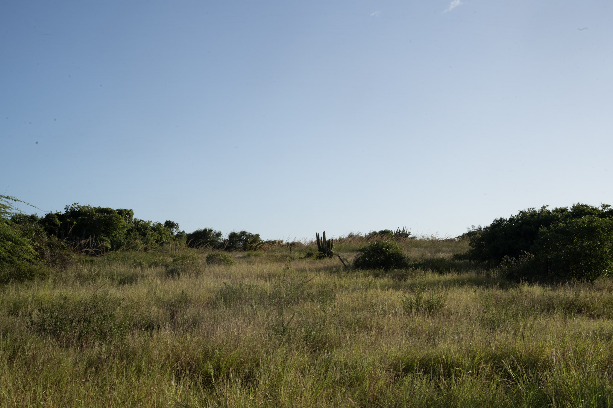 Faro - foto 54