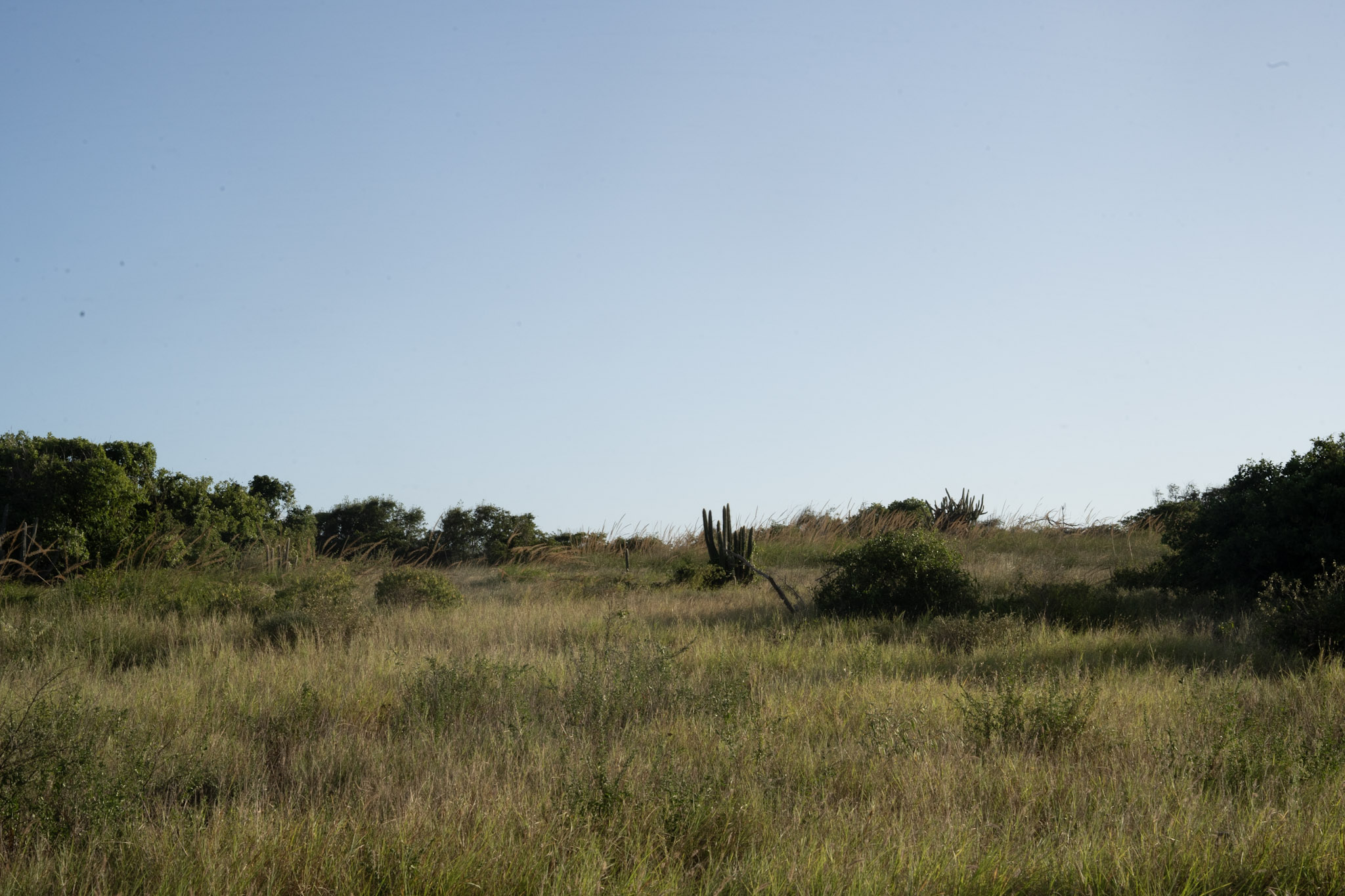 Faro - foto 55