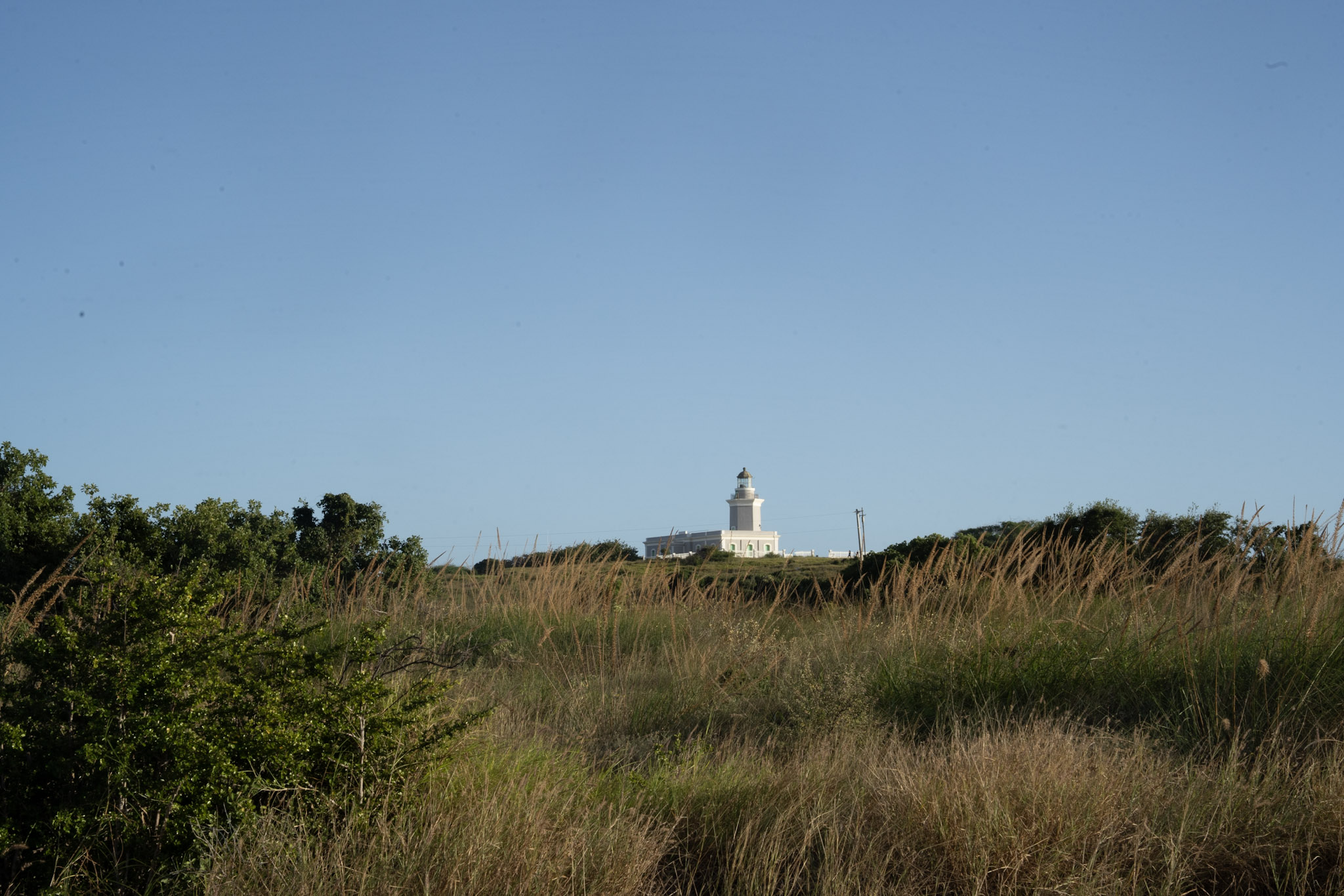 Faro - foto 56