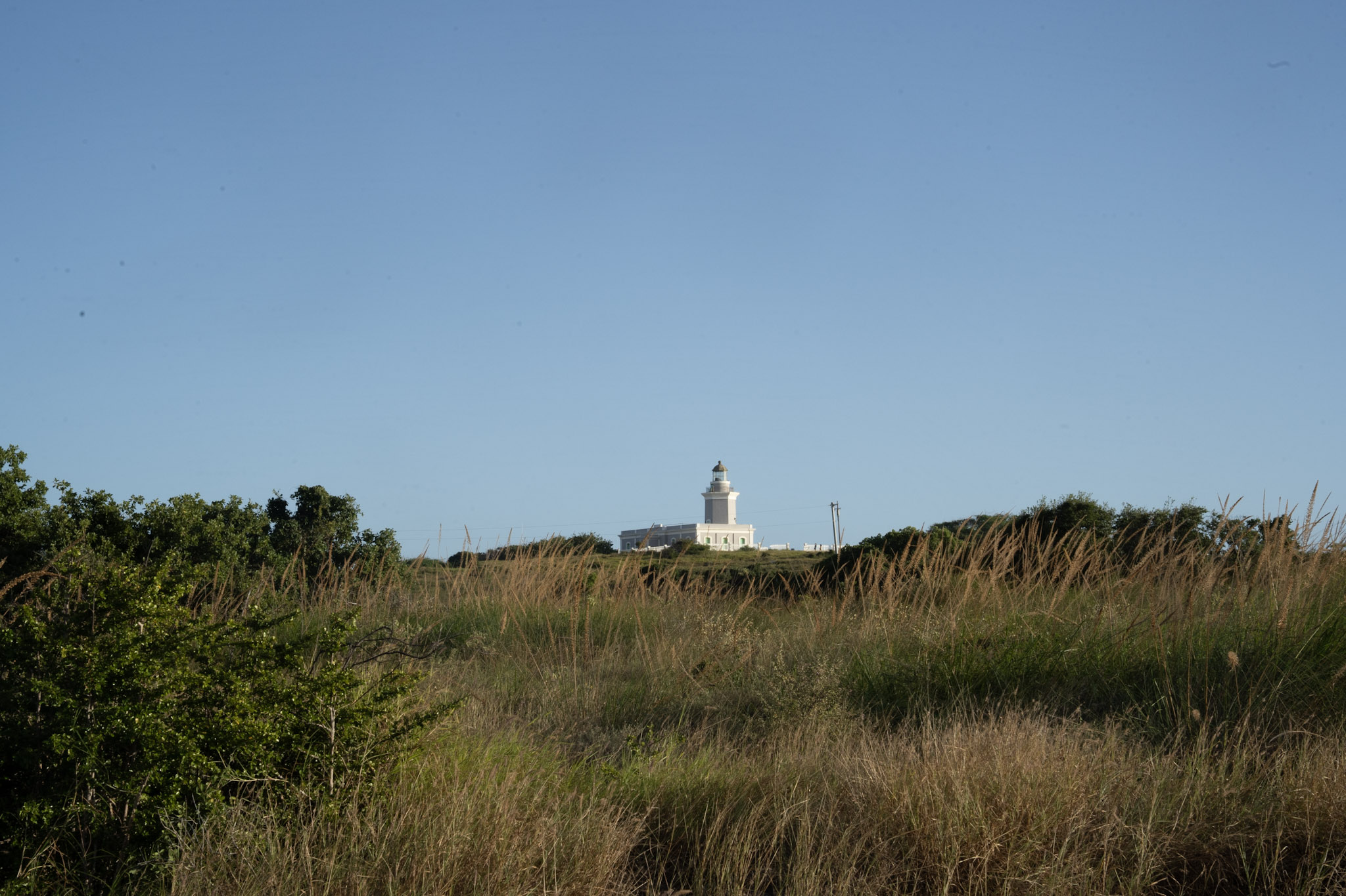Faro - foto 57