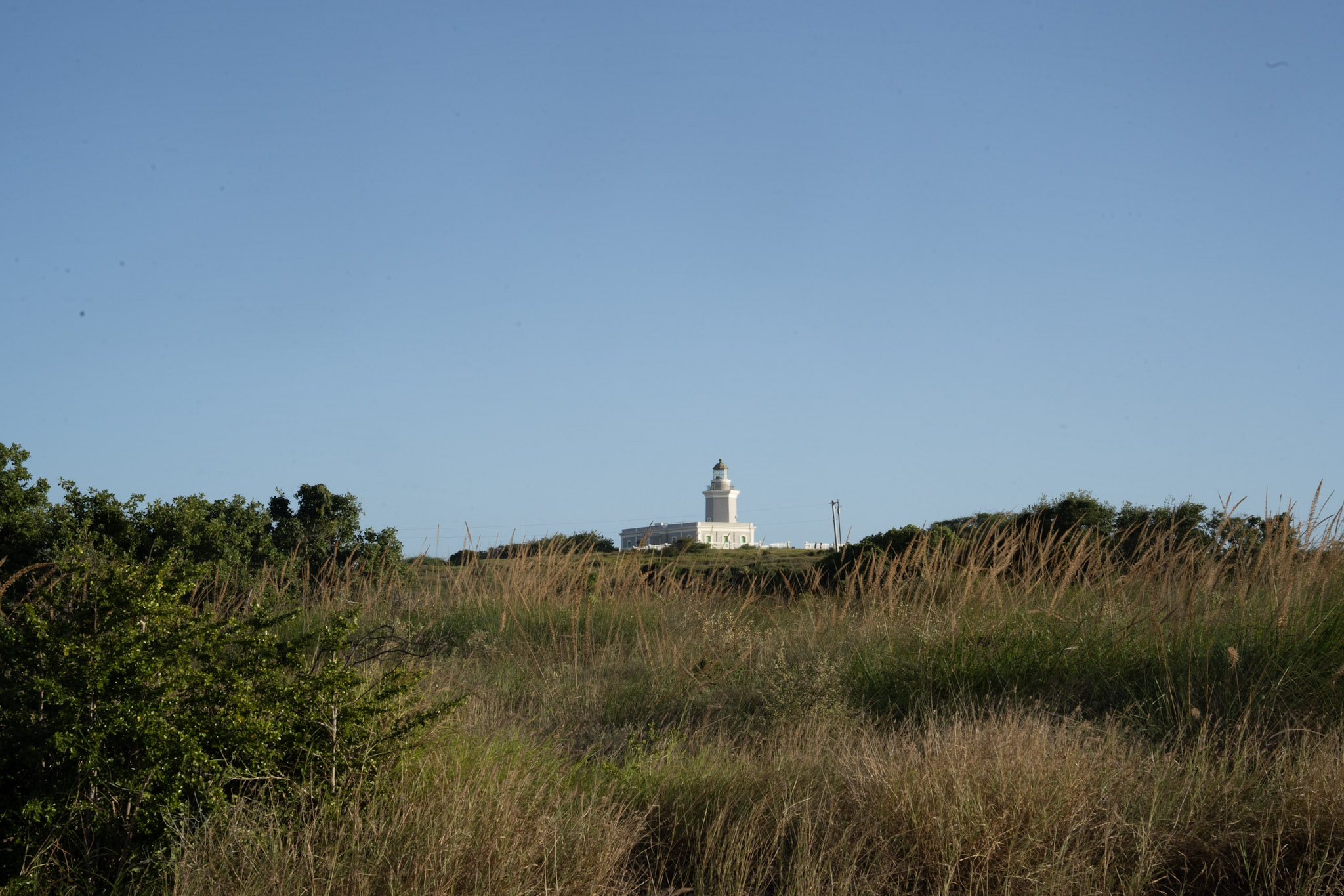 Faro - foto 58