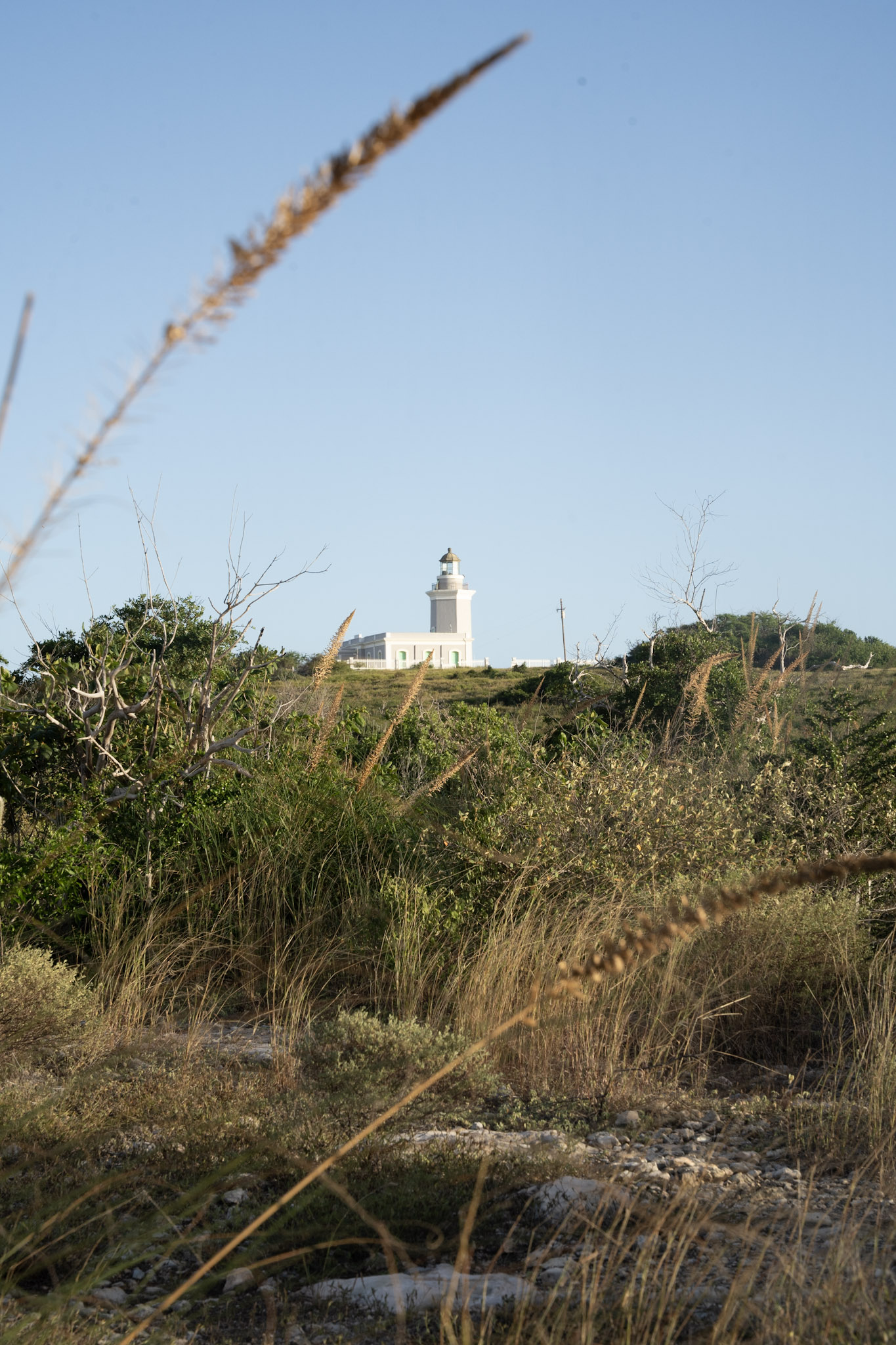 Faro - foto 60