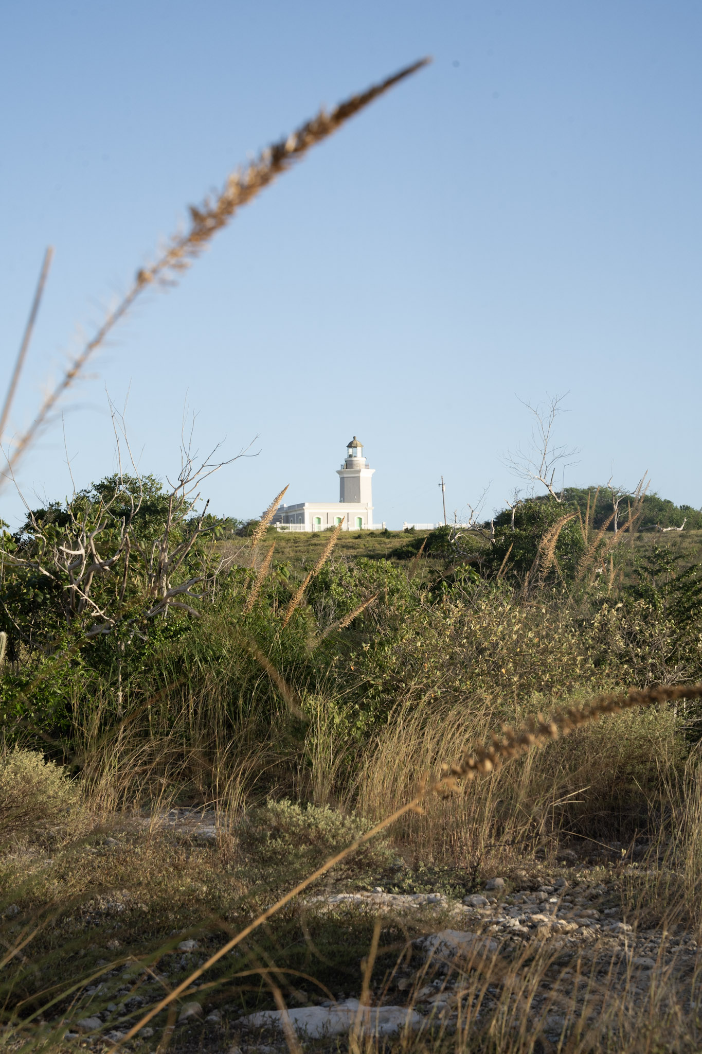 Faro - foto 61
