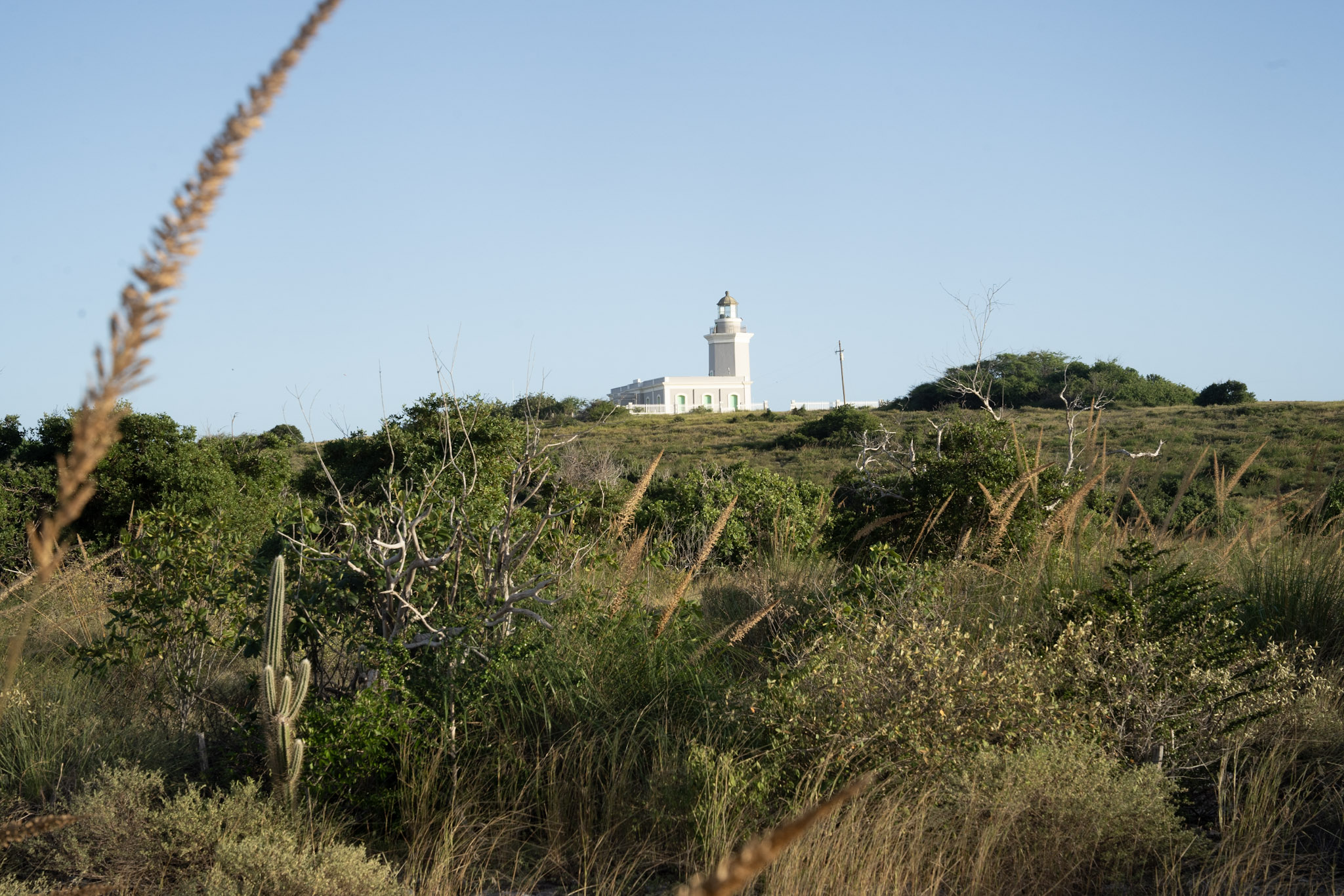 Faro - foto 62