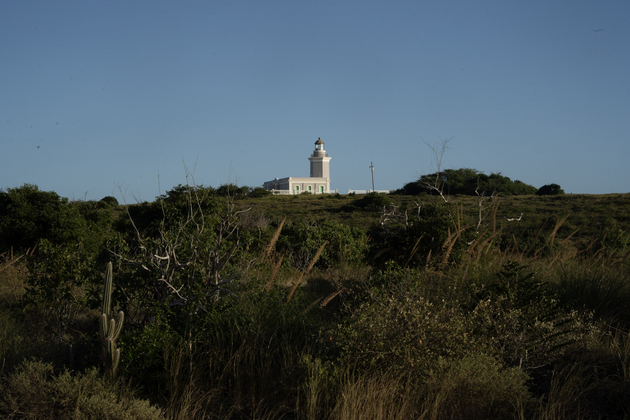 Faro - foto 63