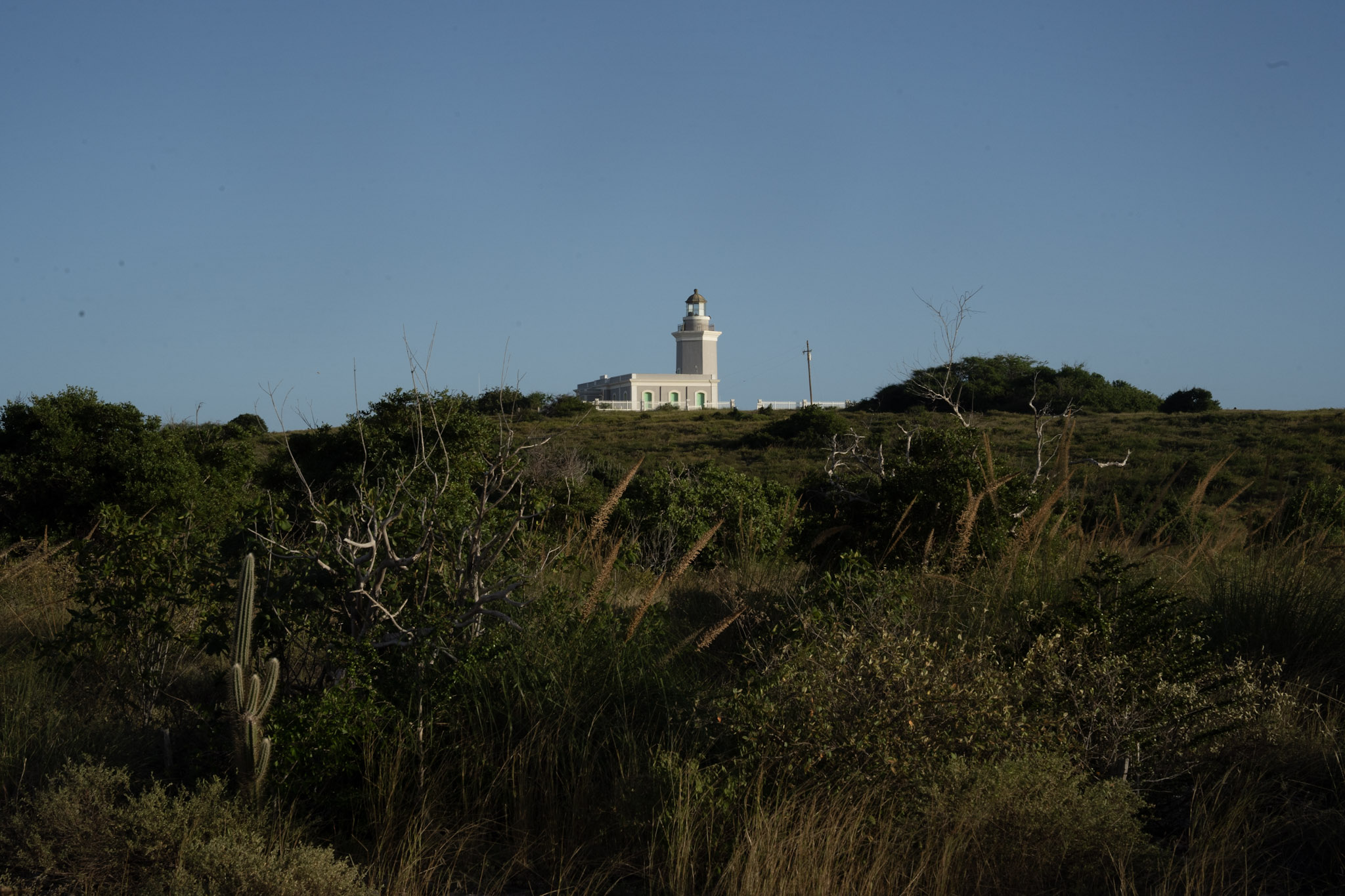 Faro - foto 64