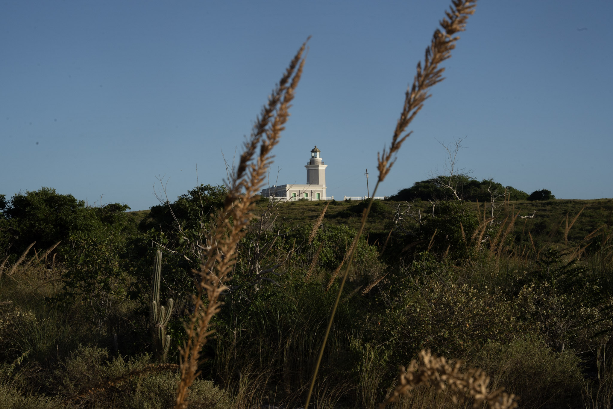 Faro - foto 65