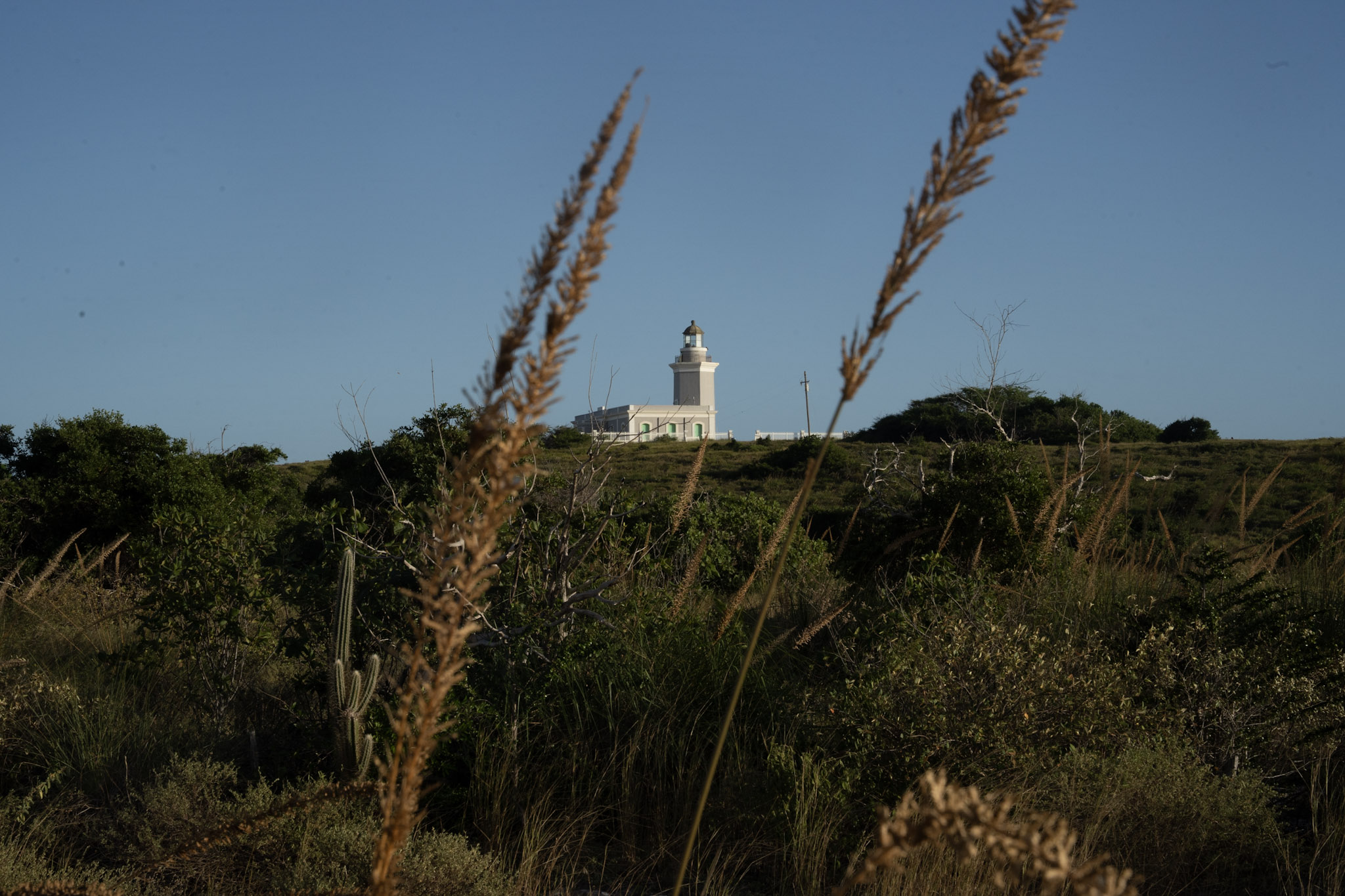 Faro - foto 66
