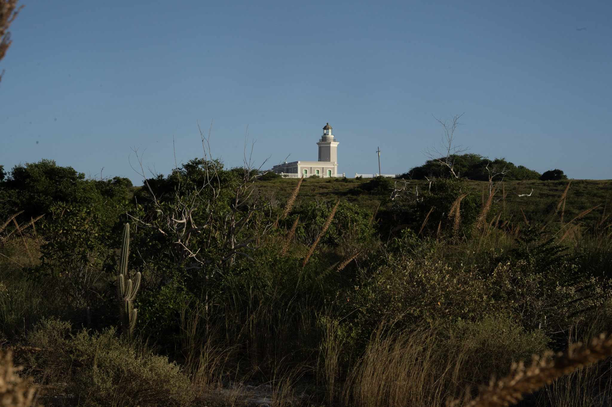 Faro - foto 67