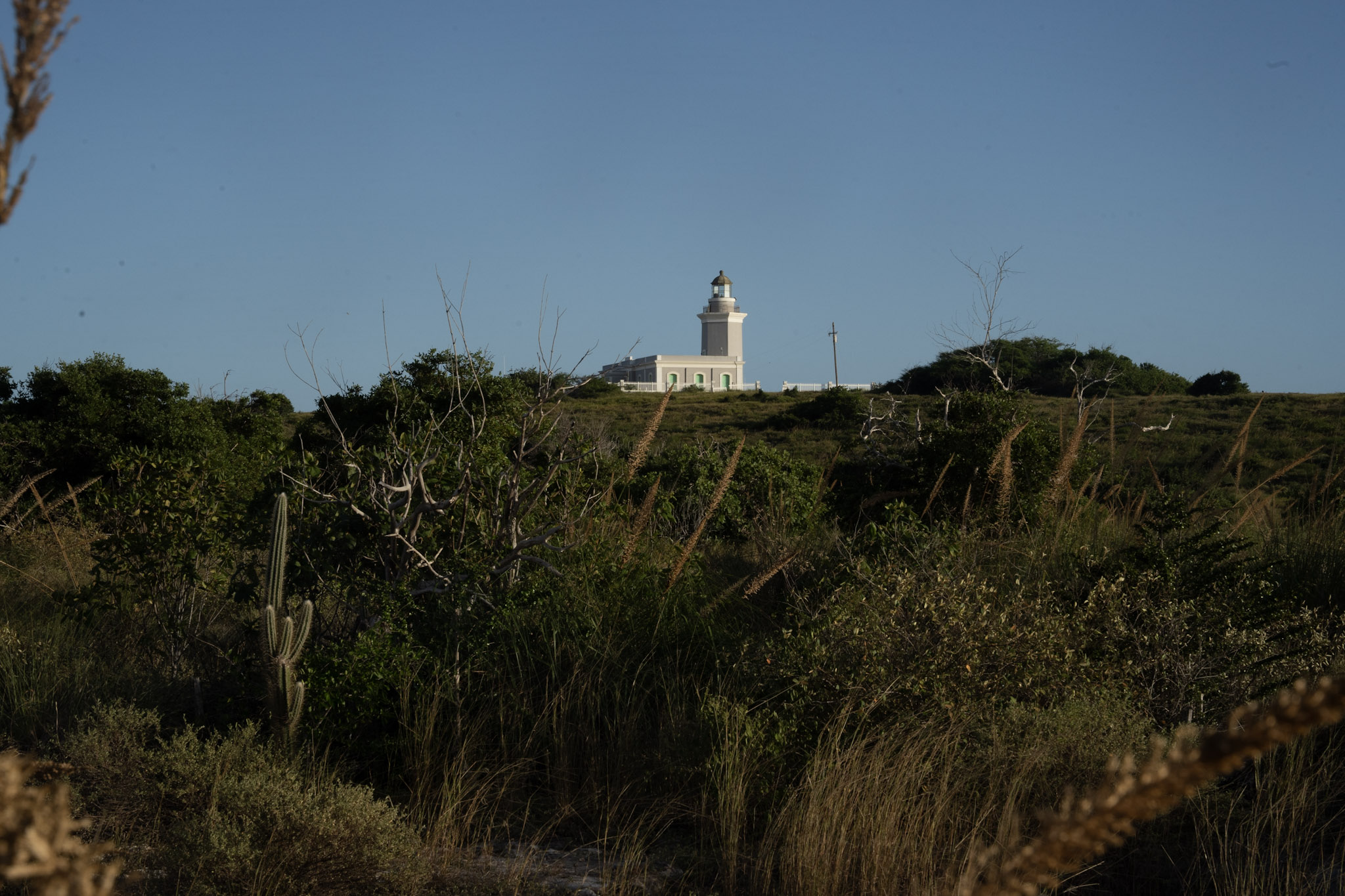Faro - foto 68