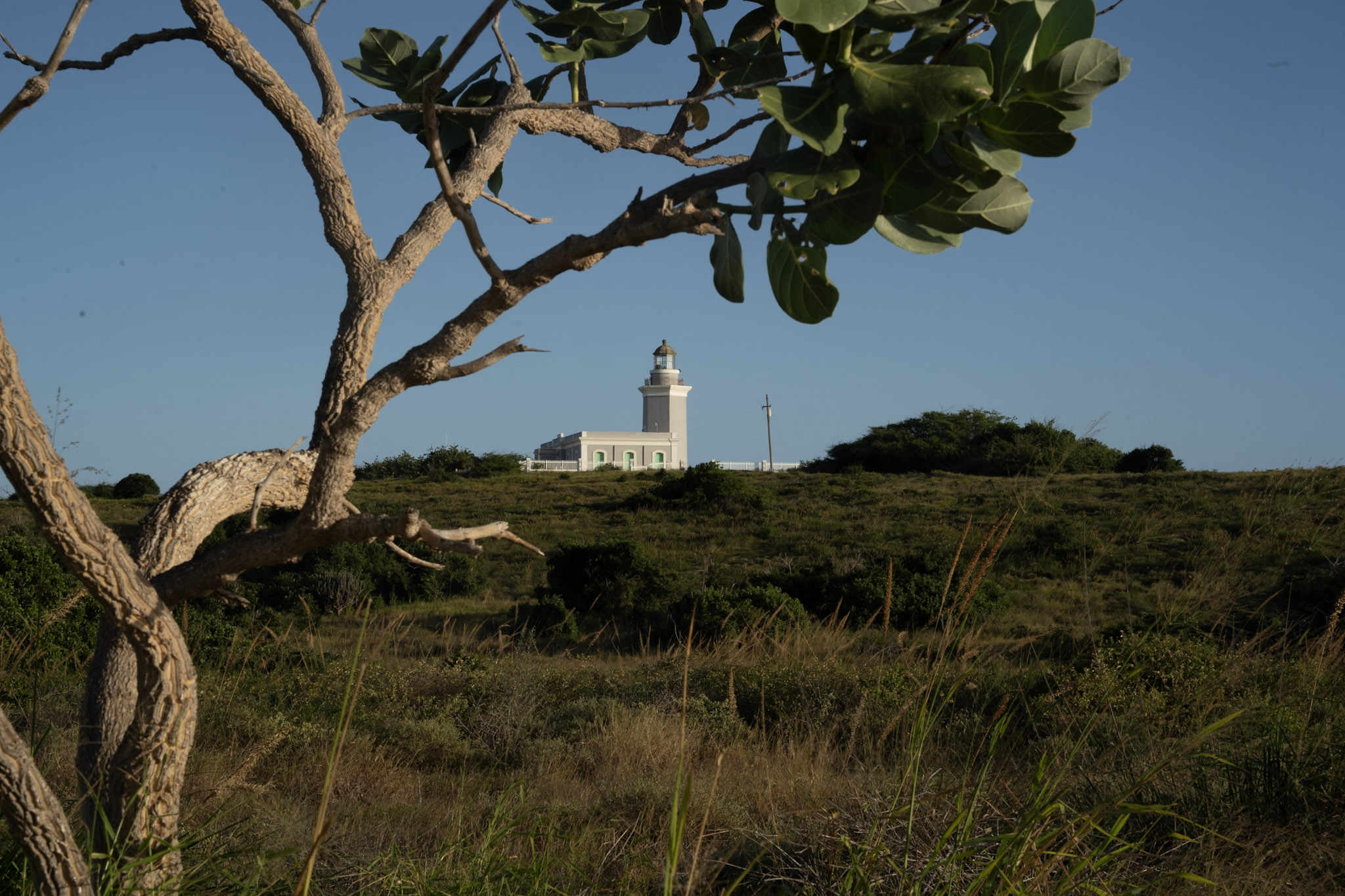 Faro - foto 69
